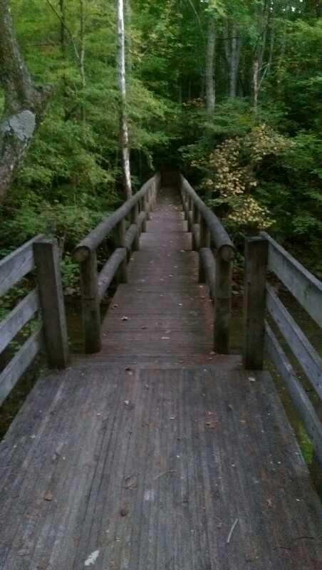A wooden footbridge leading through a lush green forest, surrounded by trees and foliage. The pathway of the bridge is straight, with wooden railings on either side, creating a serene and inviting atmosphere. Wolf Creek Trails mountain bike trail.
