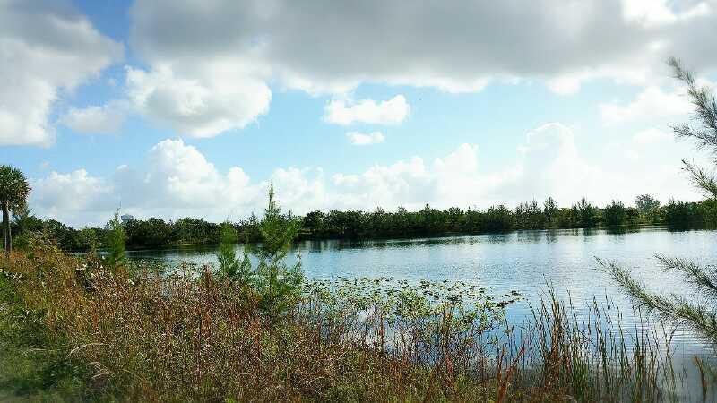 A serene landscape featuring a calm body of water surrounded by lush greenery, under a partly cloudy sky. The scene includes tall grasses and shrubs along the water's edge, reflecting a tranquil natural setting. Quiet Waters Park mountain bike trail.