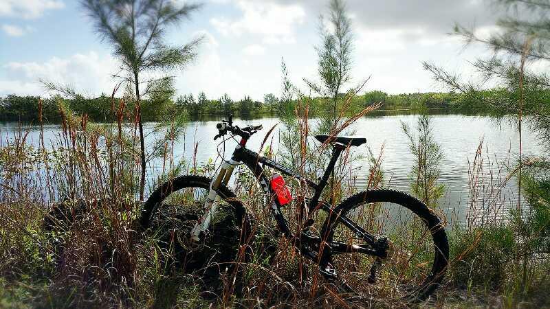Mountain bike leaning against a bush near a calm lake, with trees and grass in the background under a partly cloudy sky. Quiet Waters Park mountain bike trail.