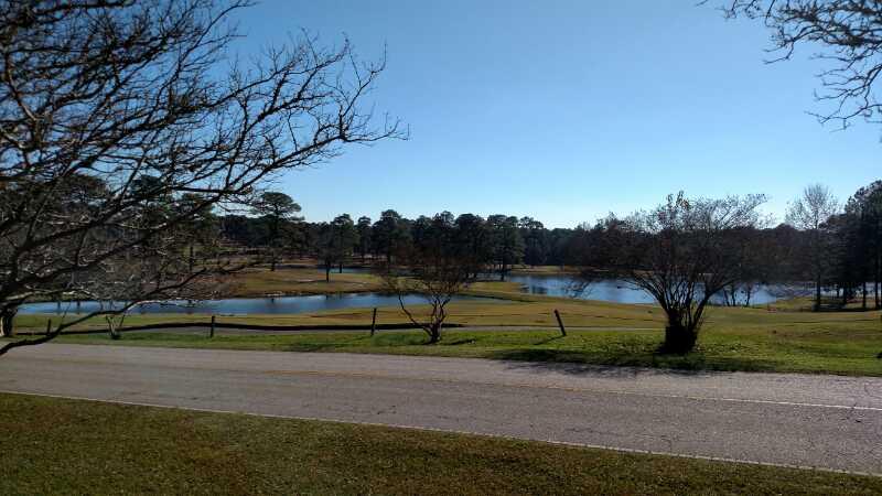 A scenic landscape featuring a calm pond surrounded by green grassy fields and trees under a clear blue sky, with a road running along the foreground. Palmetto Trail (Gate 5) mountain bike trail.
