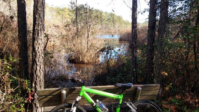 A bright green mountain bike rests on a wooden bench, surrounded by tall trees and dense underbrush. In the background, a calm waterway is visible, reflecting the natural scenery under a clear sky. The setting gives a sense of tranquility in a forested area. Palmetto Trail (Gate 5) mountain bike trail.