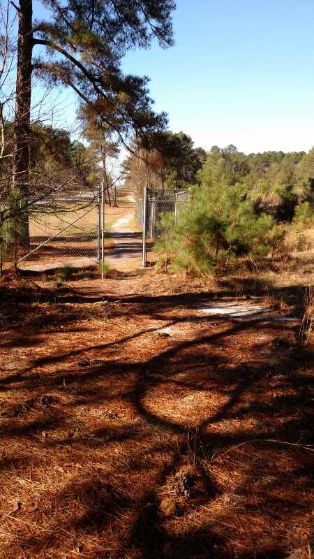 A dirt path leading to a chain-link gate, surrounded by pine trees and scattered pine needles on the ground. The scene is set against a clear blue sky, with a view of a grassy area beyond the gate. Palmetto Trail (Gate 5) mountain bike trail.