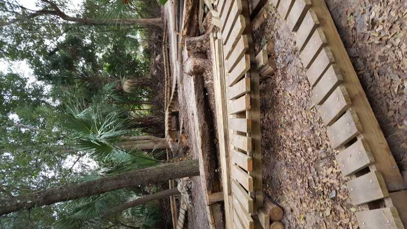 A wooden pathway constructed from planks, winding through a wooded area with lush greenery and scattered leaves on the ground. The scene features trees in the background and showcases the natural setting. Mount Dora Trail mountain bike trail.