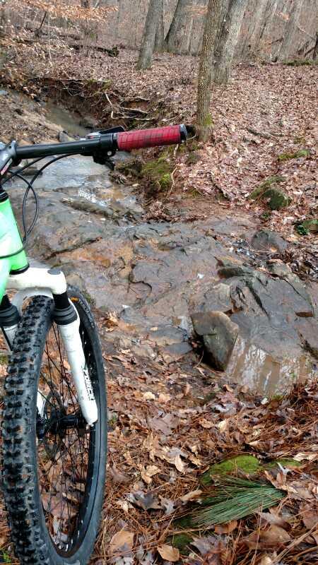 A mountain bike resting near a rocky creek bed in a forested area, surrounded by fallen leaves and tree trunks. Lynches Woods mountain bike trail.