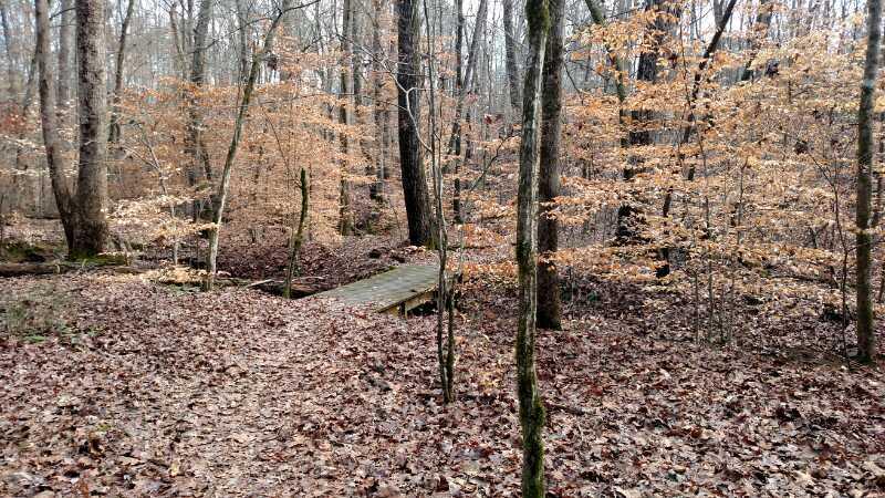 A serene forest path covered with autumn leaves, featuring a wooden bridge in the distance surrounded by bare trees and sparse foliage. Lynches Woods mountain bike trail.