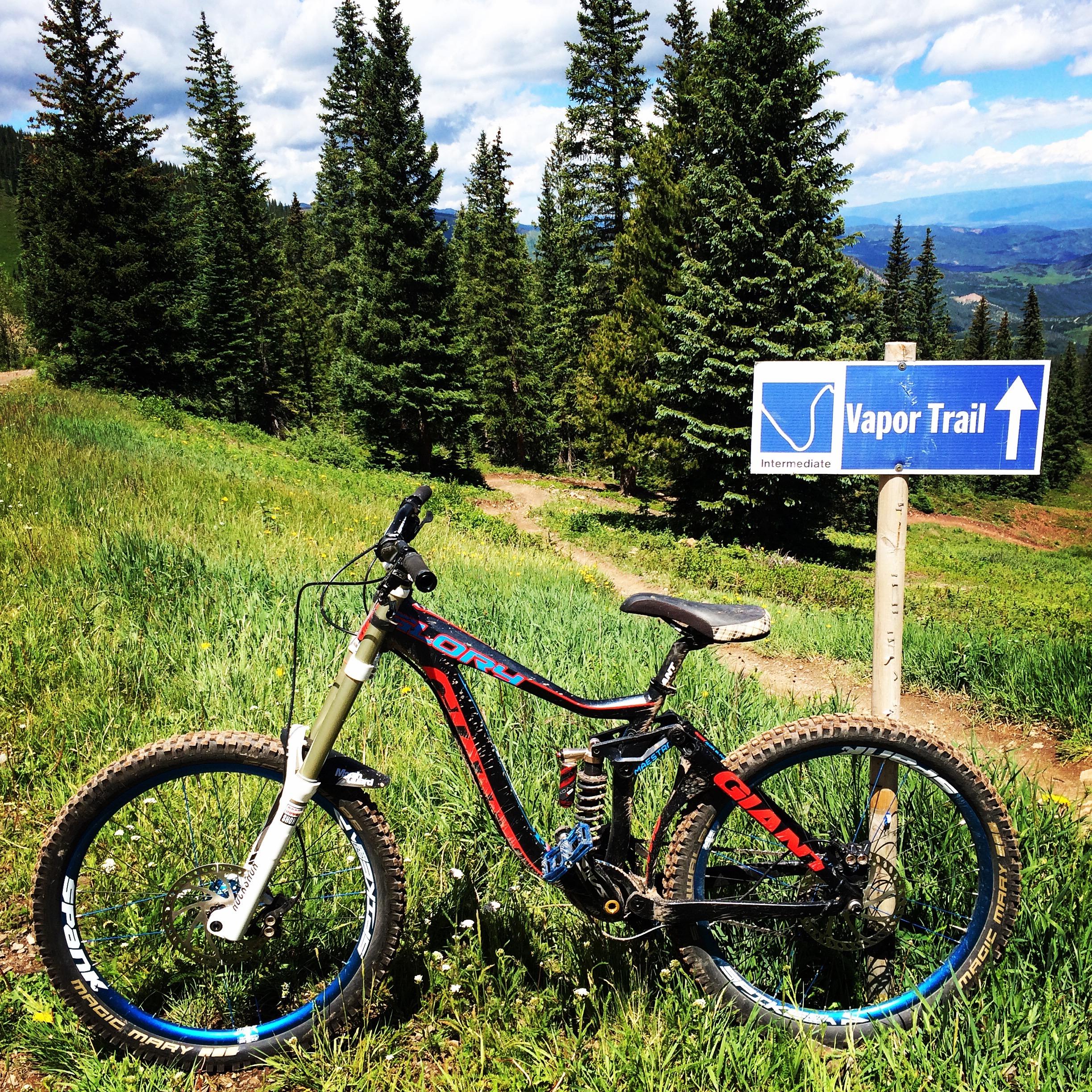 Giant Glory 2: A mountain bike parked on a grassy area near a sign directing to the "Vapor Trail," indicated as an intermediate level trail. Surrounding the bike are tall evergreen trees and a scenic view of the mountains in the background under a partly cloudy sky.