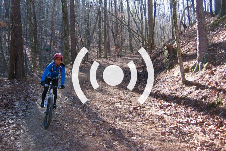 A person riding a mountain bike along a dirt trail in a wooded area, surrounded by trees and fallen leaves. The scene is illuminated by natural light, creating a serene outdoor atmosphere.