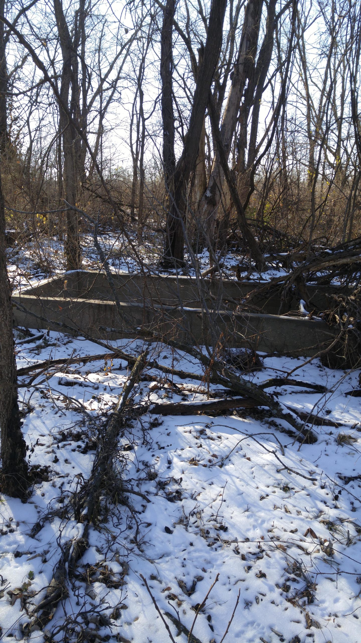 A snowy landscape featuring bare trees and fallen branches, with a partially obscured concrete structure among the foliage. The scene conveys a tranquil yet rugged natural environment. Lawrence Riverfront Trails mountain bike trail.