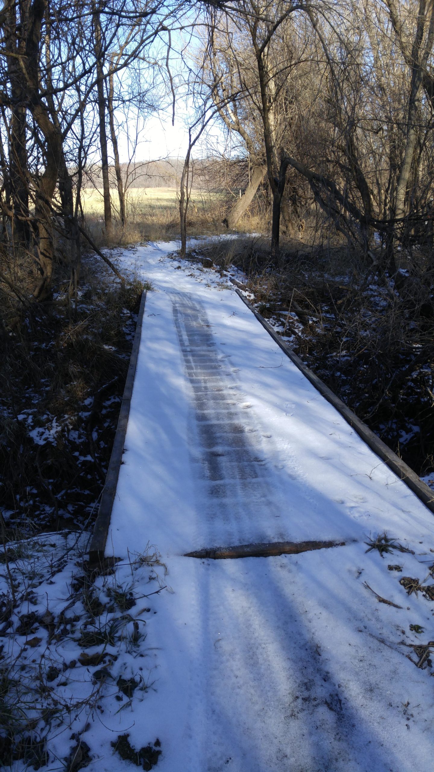 Footpath covered in snow, winding through trees with sparse branches, leading towards an open field under a clear blue sky. Lawrence Riverfront Trails mountain bike trail.