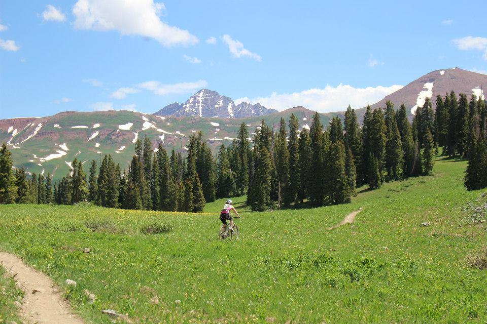 A person riding a mountain bike on a grassy trail surrounded by tall pine trees, with snow-capped mountains in the background under a blue sky with scattered clouds. Trail 401 mountain bike trail.