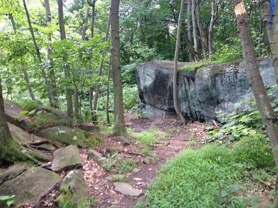 A narrow path winding through a lush green forest with various trees and large rocks. A prominent, flat-topped boulder is visible on the right, partially covered with moss, while patches of grass and smaller stones line the trail. Roaring Run mountain bike trail.