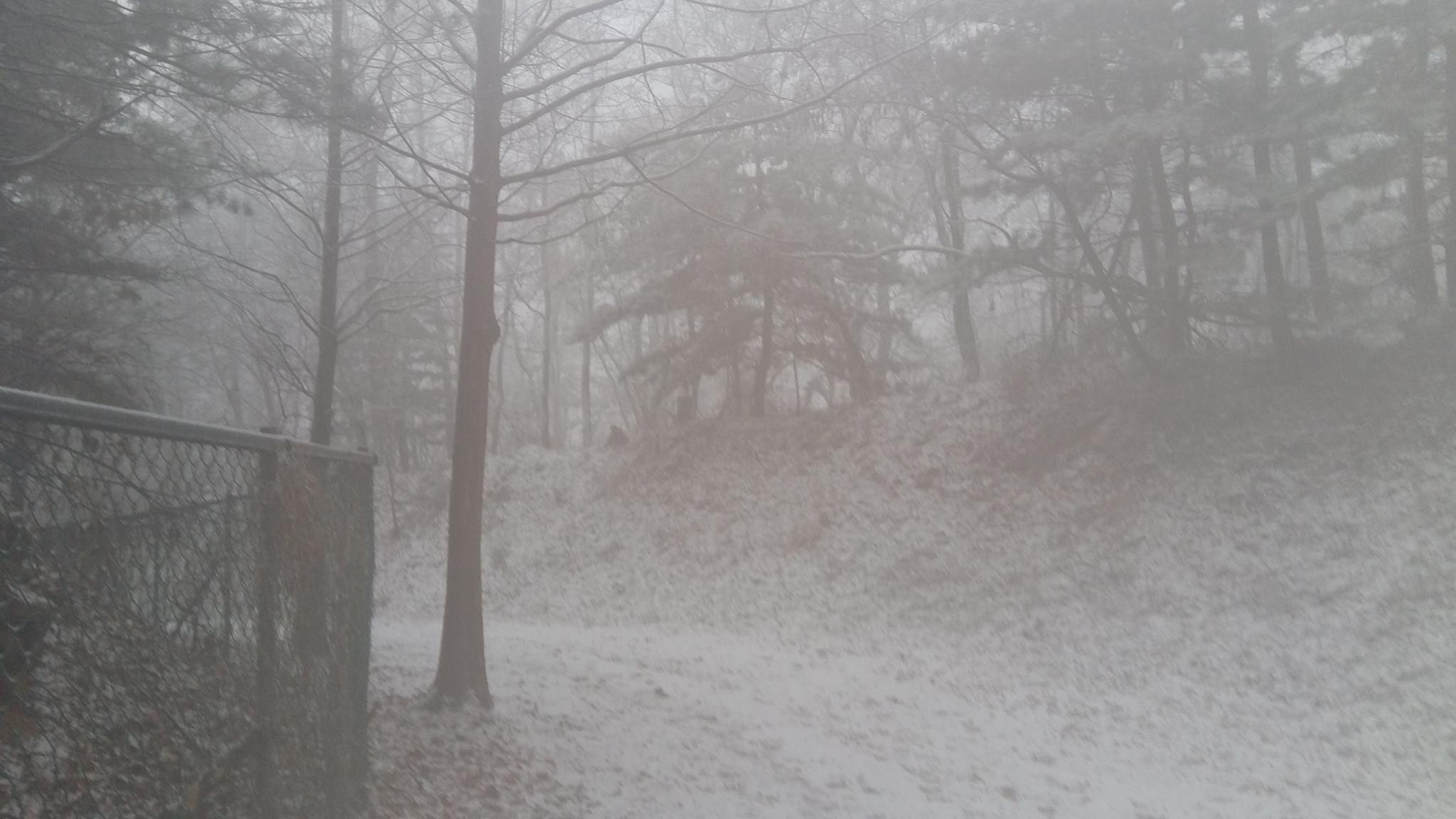 A foggy outdoor scene featuring a winding path surrounded by trees, with a light dusting of snow on the ground and branches. A chain-link fence is visible in the foreground, adding to the tranquil, wintry atmosphere. Wangbangsan mountain bike trail.
