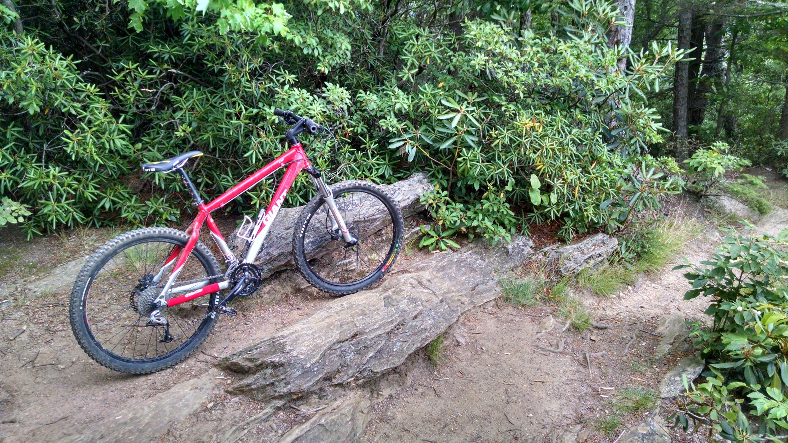 Giant XTC 1: A red mountain bike parked next to a rocky outcrop, surrounded by lush green foliage and trees on a dirt trail.