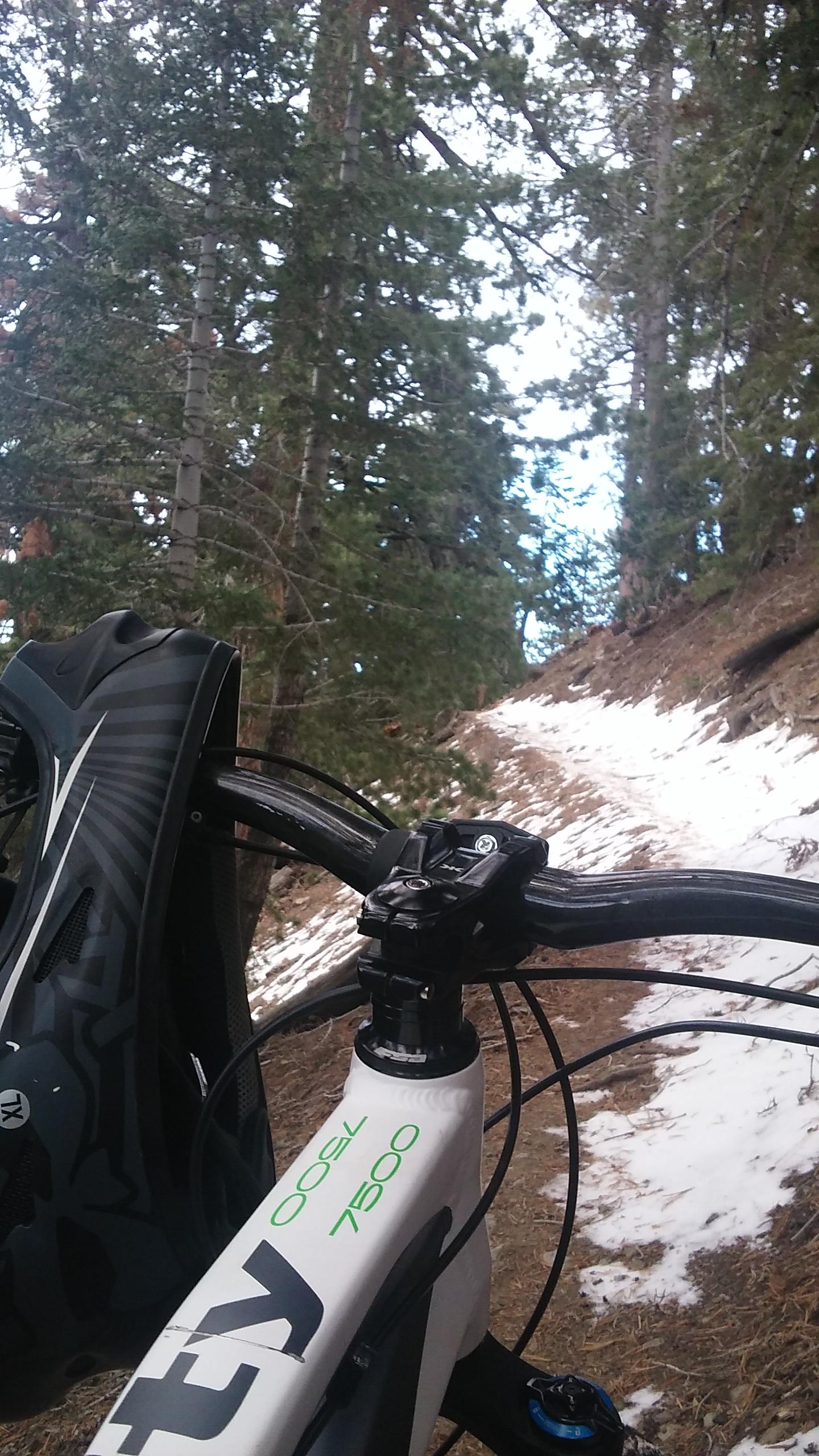 Image of a mountain bike handlebars in a snowy forested area. The bike is parked on a narrow trail lined with trees, showing patches of snow on the ground. A black helmet is resting on the bike's handlebars, suggesting preparation for a ride. The atmosphere is tranquil and natural, highlighting the outdoor adventure setting. Blue Ridge Trail mountain bike trail.
