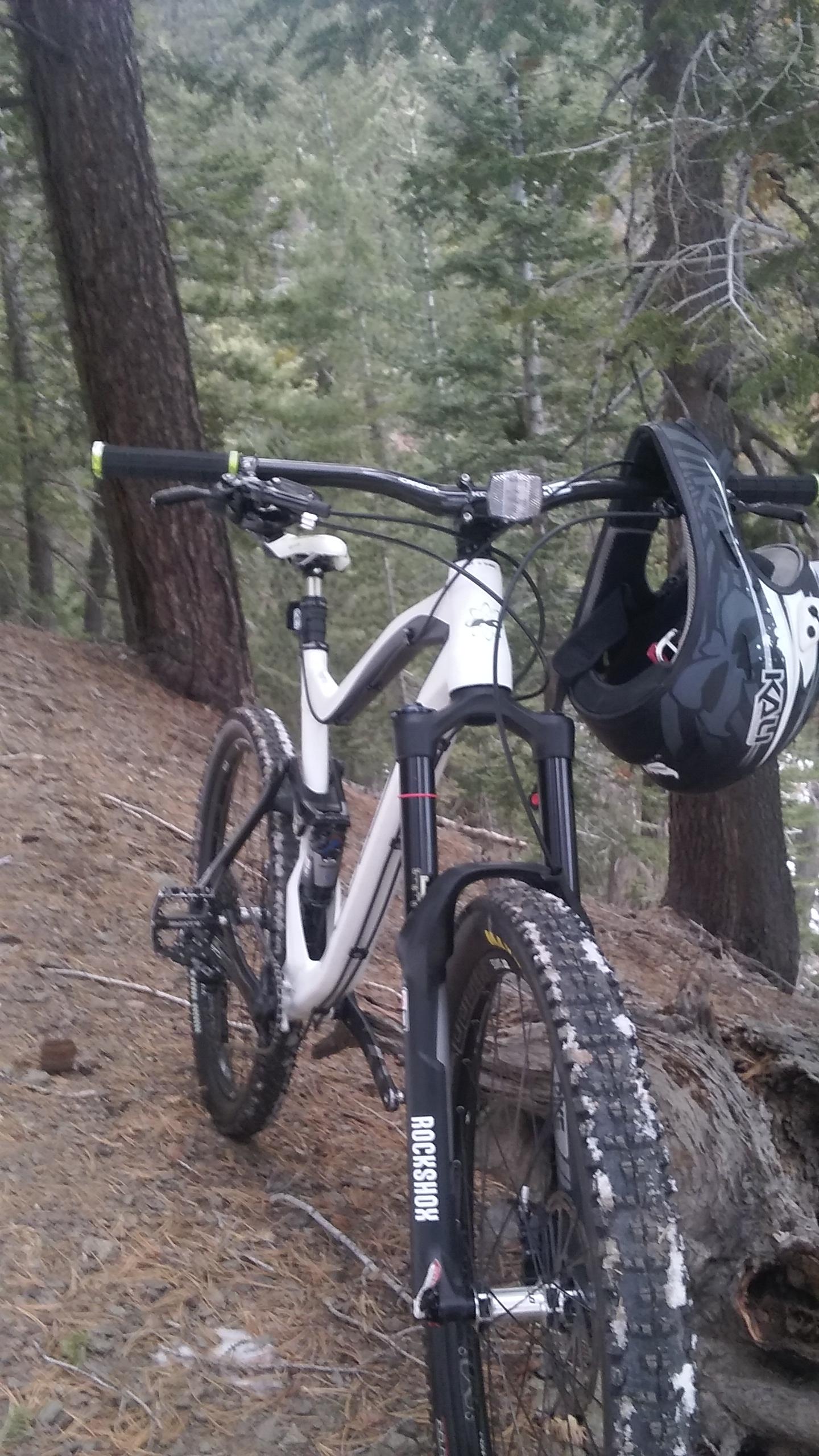 Mountain bike resting on a forest path, with a helmet hanging from the handlebars. The bike has a white and black frame, thick tires, and is surrounded by tall trees and pine needles on the ground. Blue Ridge Trail mountain bike trail.