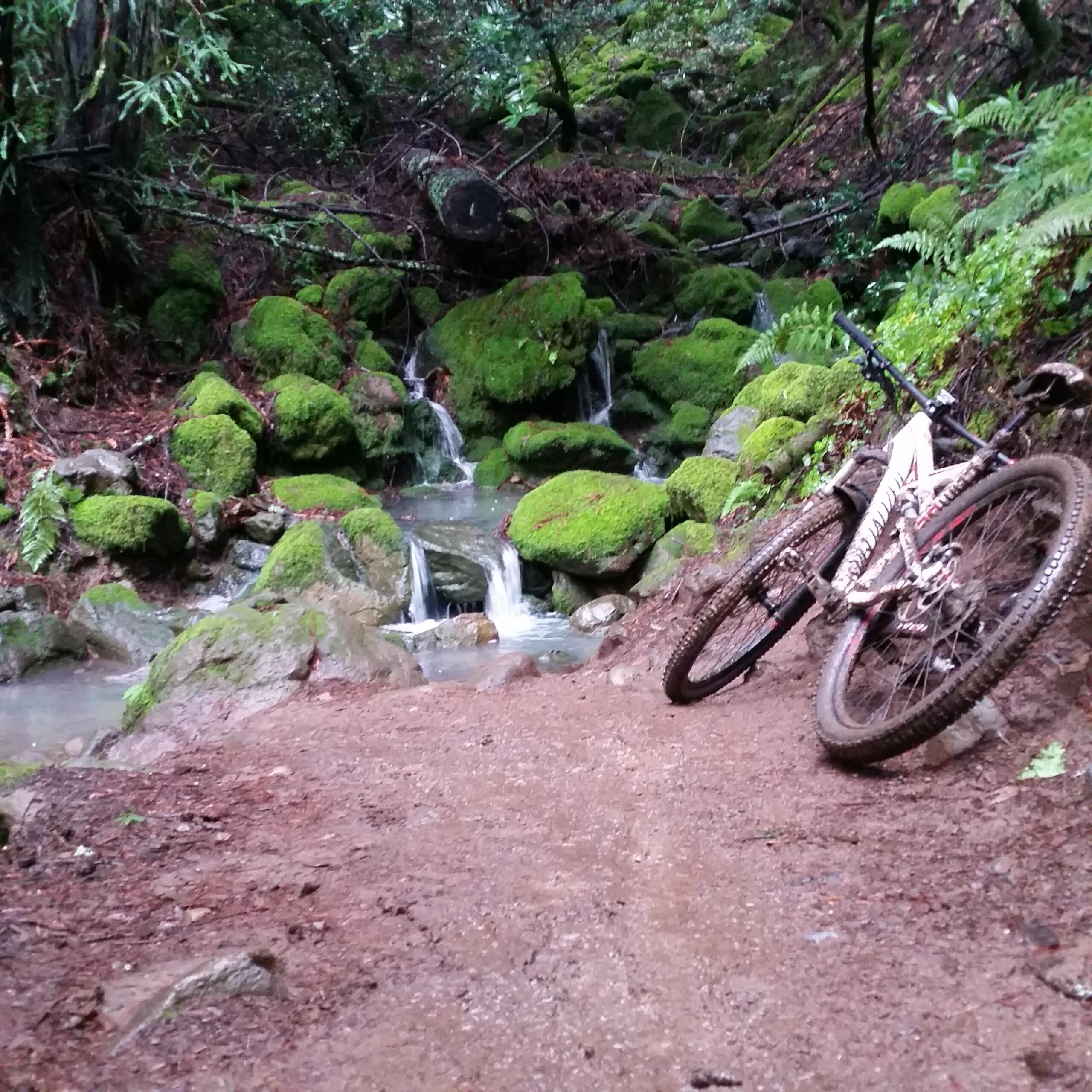 A mountain bike resting on a dirt trail next to a serene stream, surrounded by vibrant green moss-covered rocks and lush forest foliage. Small waterfalls are visible among the rocks, creating a tranquil woodland scene. Annadel State Park mountain bike trail.