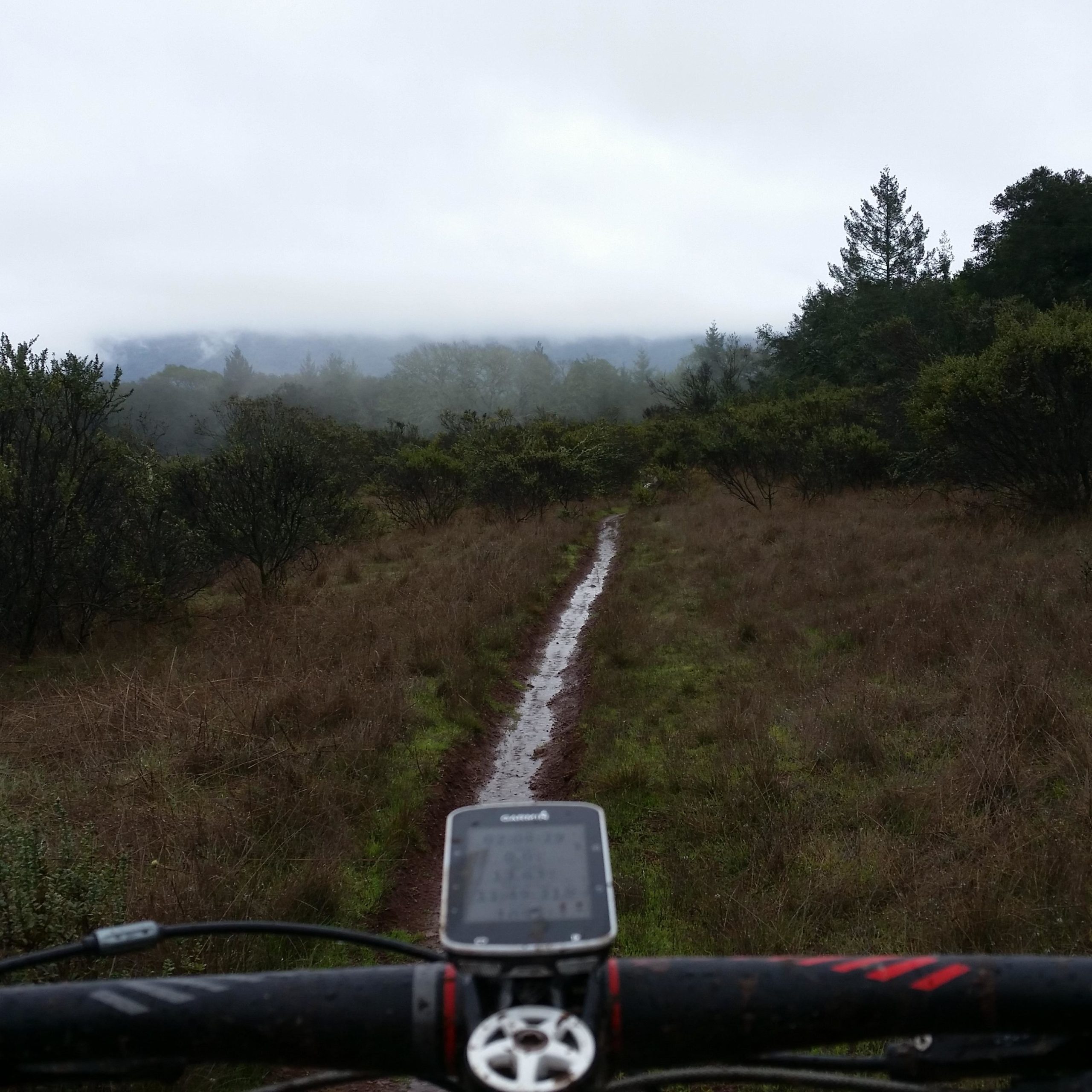 A mountain bike handlebar with a cycling computer in focus, overlooking a muddy trail that leads through a misty landscape filled with low shrubs and trees under a cloudy sky. Annadel State Park mountain bike trail.