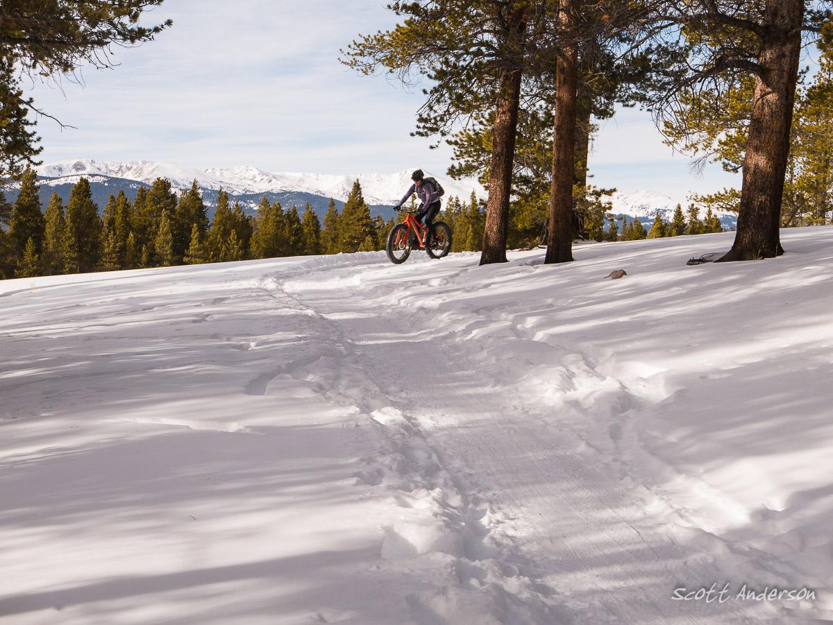 A person riding a fat bike through a snow-covered landscape, surrounded by evergreen trees, with mountains visible in the background. Colorado Mountain College Trails mountain bike trail.