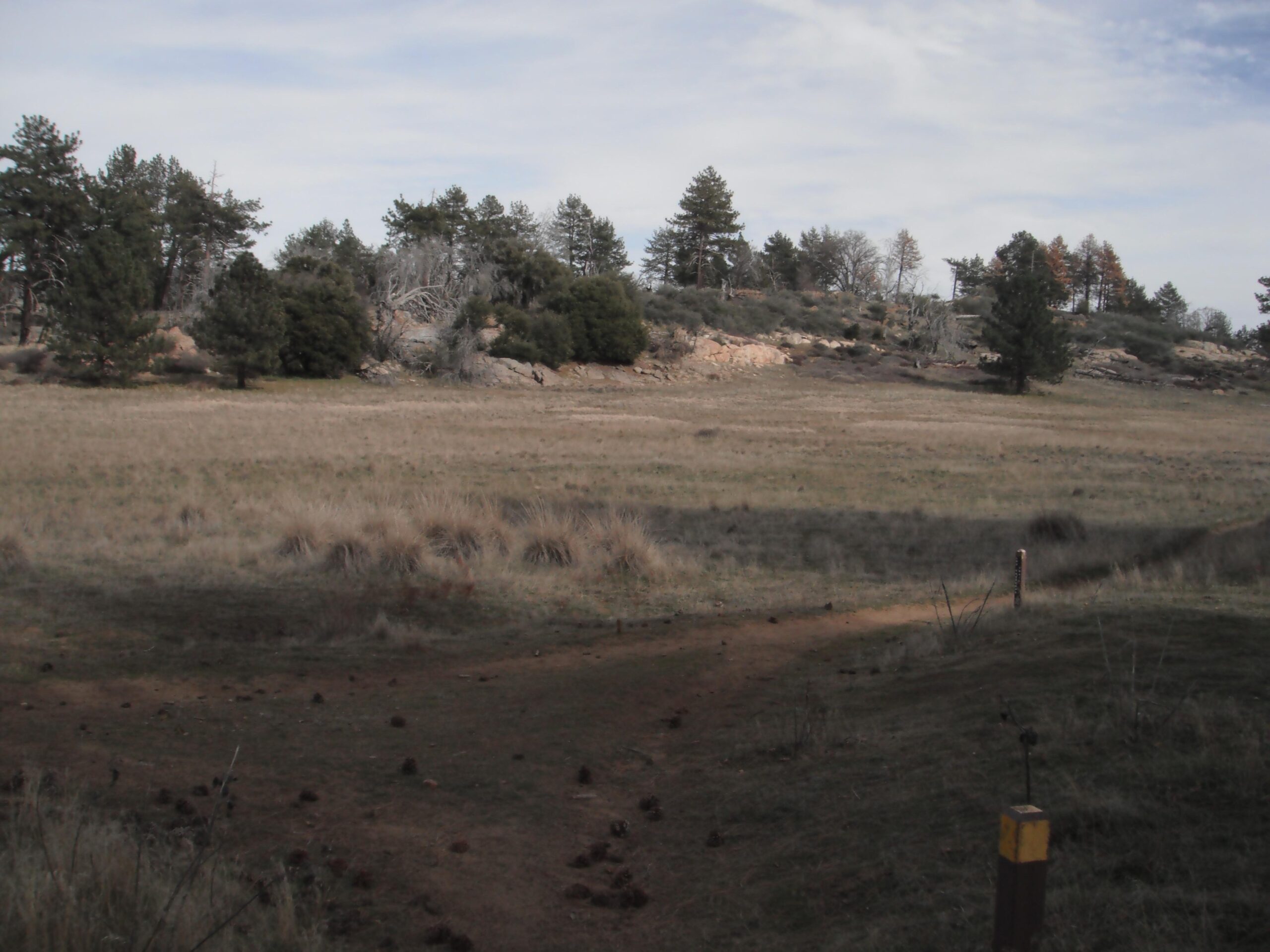 A scenic view of a grassy meadow with a pathway leading towards a hillside covered with trees and rocks. The sky is partly cloudy, and the landscape is serene and natural. Anza-Cuyamaca North Side Singletrack mountain bike trail.