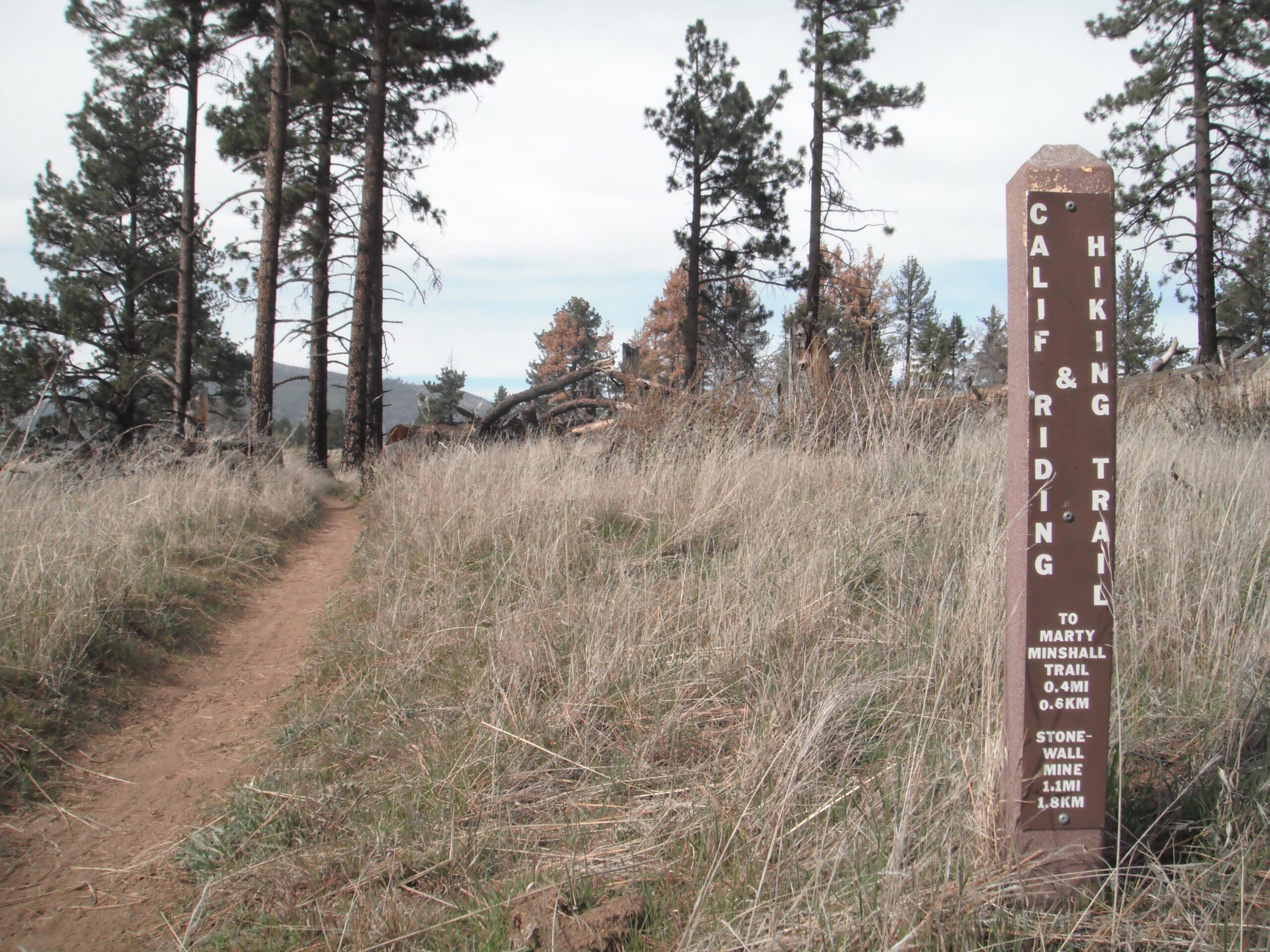 A dirt hiking trail lined with tall trees and grass, featuring a signpost indicating directions to nearby trails. The sign reads "Calif & Riding Hiking Trail" with distances to "Marty Minshall Trail" (0.4 miles) and "Stone Wall Mine" (1.1 miles). The landscape reflects a serene outdoor setting under a partly cloudy sky. Anza-Cuyamaca North Side Singletrack mountain bike trail.