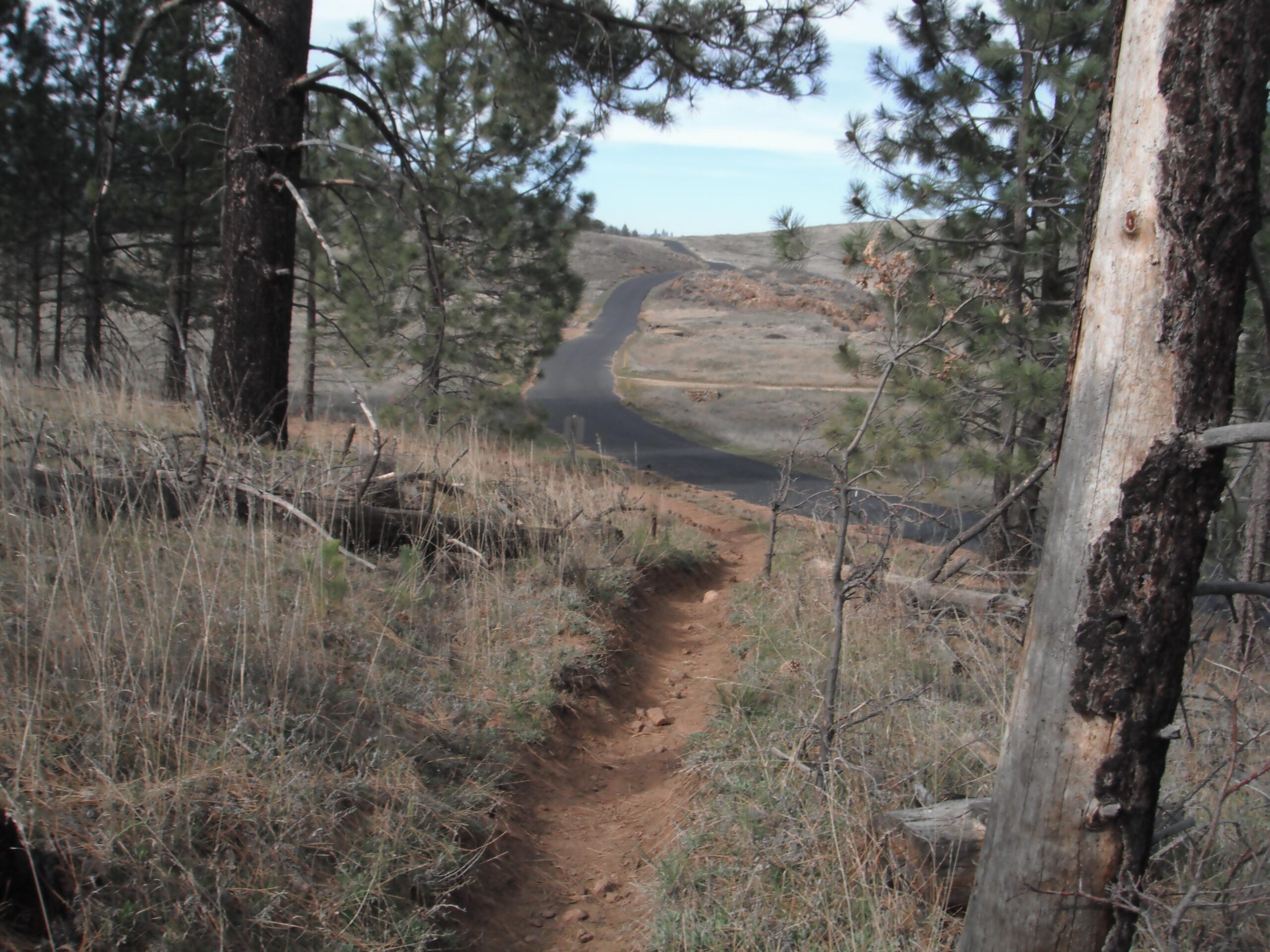 A winding pathway through a grassy landscape, bordered by trees and leading to a distant road that curves through the scene. The sky is partly cloudy, and the surrounding area features sparse vegetation and rocky terrain. Anza-Cuyamaca North Side Singletrack mountain bike trail.