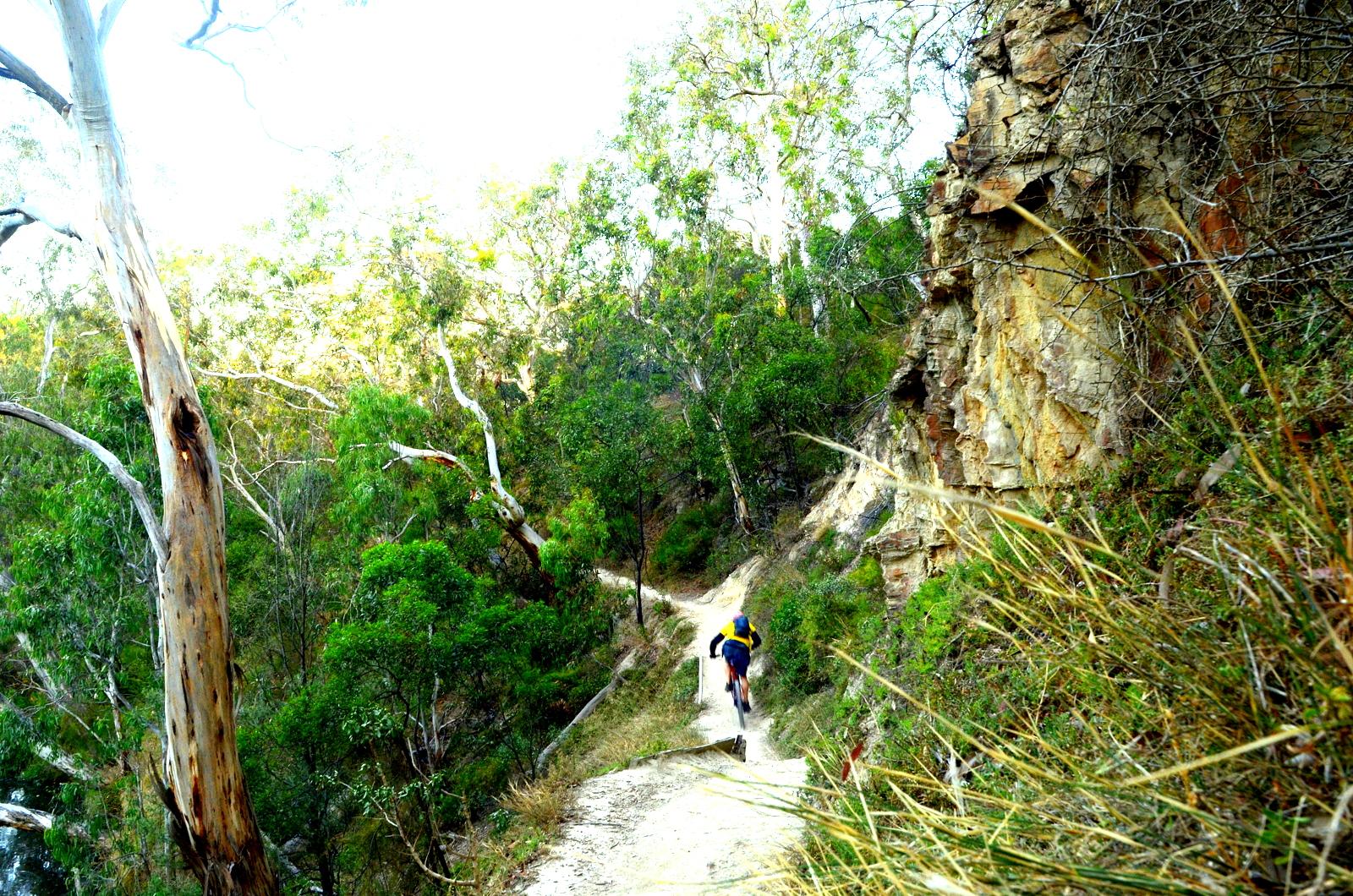 A cyclist riding along a dirt trail surrounded by lush green trees and rocky terrain in a natural landscape. Yarra Trails mountain bike trail.