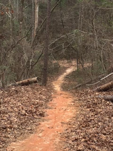 A narrow, winding dirt path through a forested area, surrounded by bare trees and scattered dry leaves on the ground. The trail curves gently into the distance, suggesting a tranquil and natural outdoor setting. Fort Benning MTB Trail mountain bike trail.