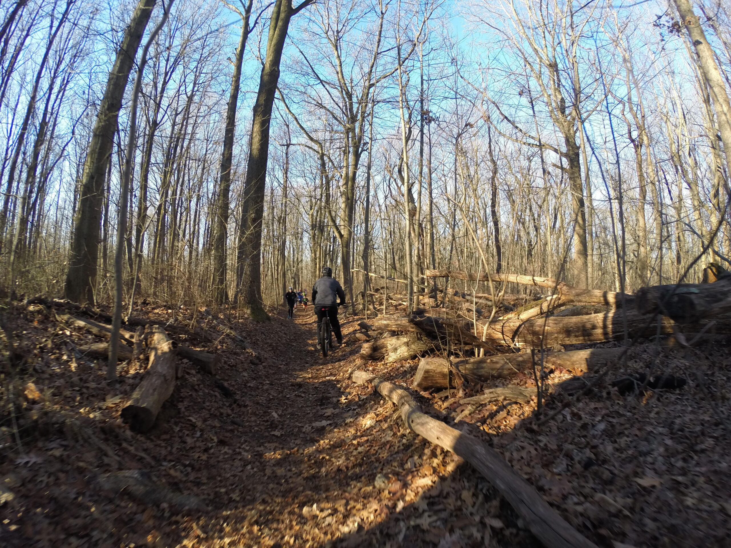 A dirt trail winding through a forest during early spring. The path is surrounded by tall, bare trees and scattered fallen logs. In the distance, several cyclists are riding along the trail. The ground is covered with brown leaves, and the sky is clear and blue. Richmond Avenue and Forest Hill road mountain bike trail.