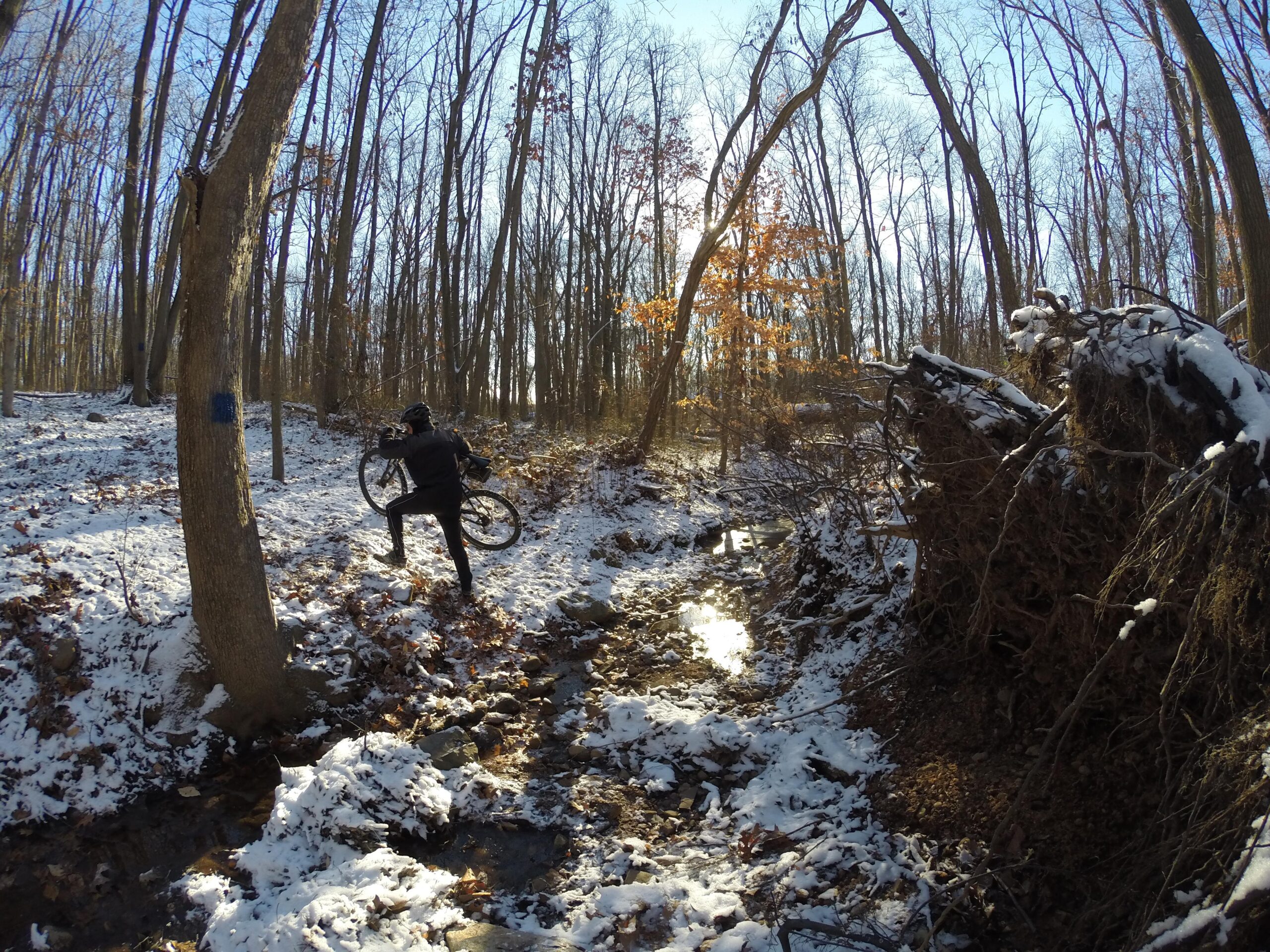 A cyclist climbing a snowy hillside in a wooded area, carrying their bike over rough terrain. Sunlight filters through the trees, illuminating the scene with patches of blue sky peeking through the branches. The ground is covered in a mix of snow and fallen leaves, with an exposed tree root system visible in the foreground. Trails seperated by streets mountain bike trail.