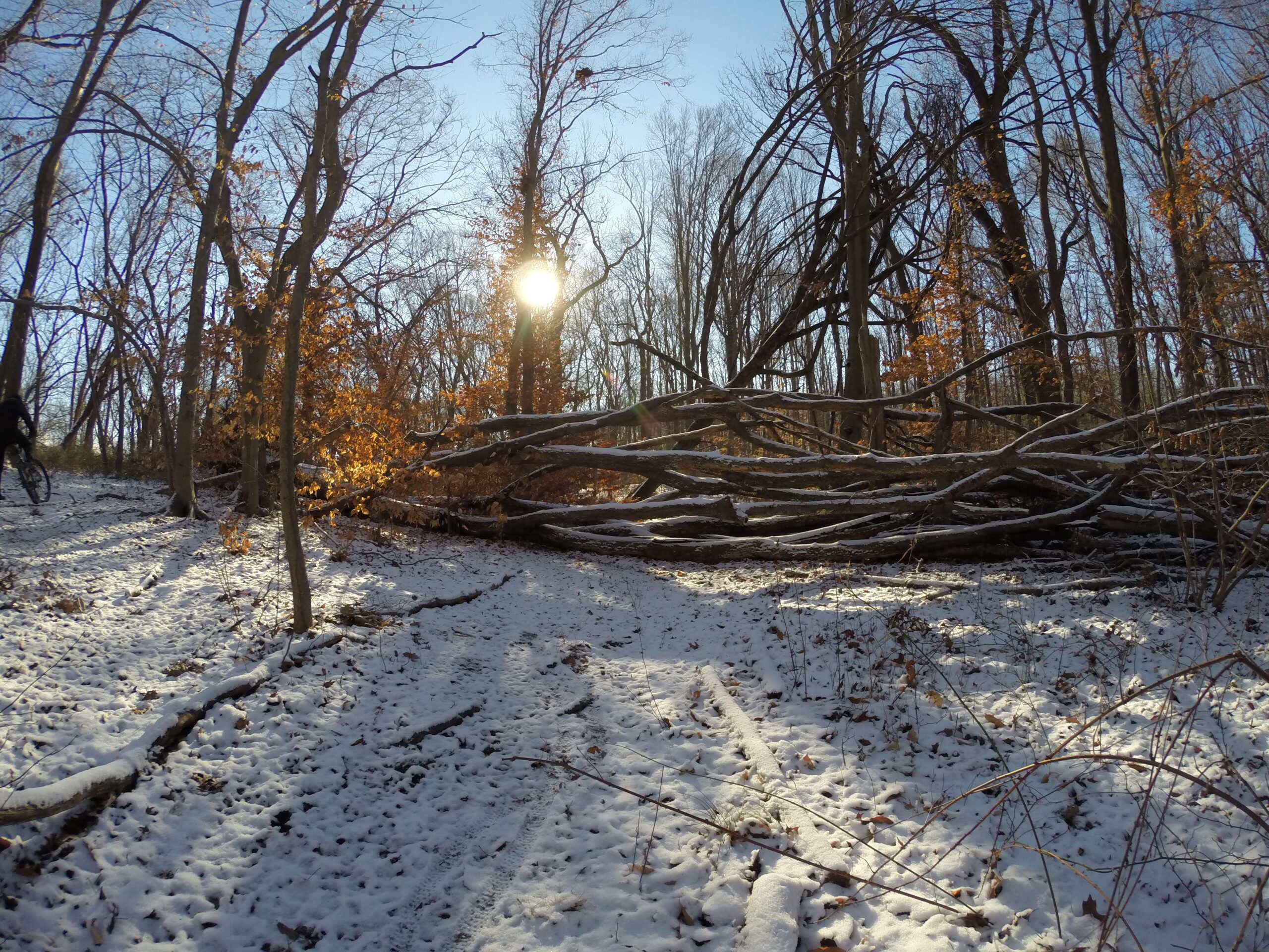 A winter forest scene with a low sun shining through bare trees, casting light on a snowy path. In the foreground, fallen trees are strewn across the trail, surrounded by patches of snow and dried leaves. A cyclist can be seen in the distance, navigating the uneven terrain. Wolfes Pond park mountain bike trail.