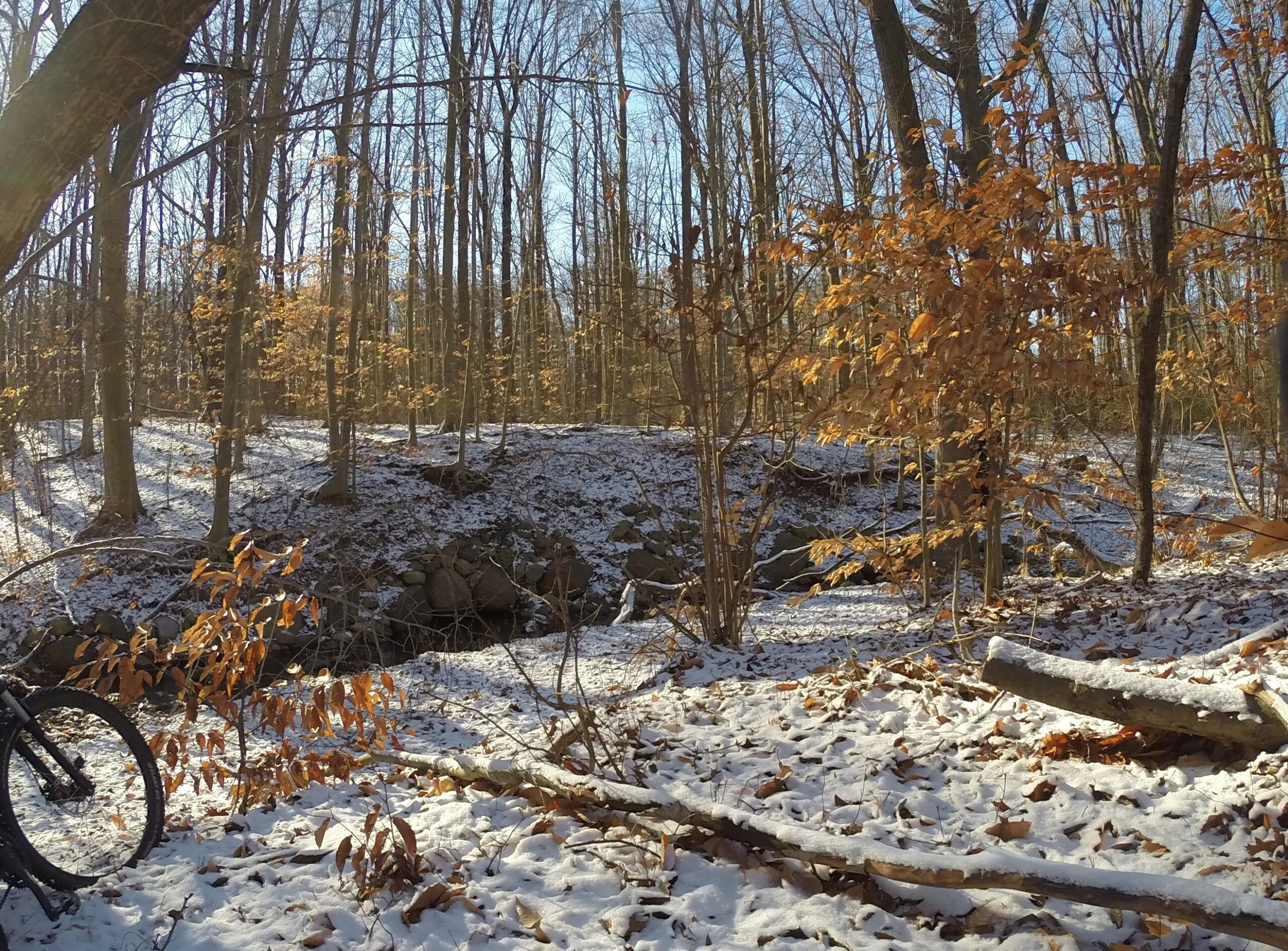 A serene winter landscape featuring a snow-covered forest floor, scattered with fallen leaves. Trees with bare branches tower above, illuminated by sunlight filtering through the canopy. A small creek is partially visible, bordered by rocks, while a bicycle leans against a tree trunk in the foreground. Trails seperated by streets mountain bike trail.