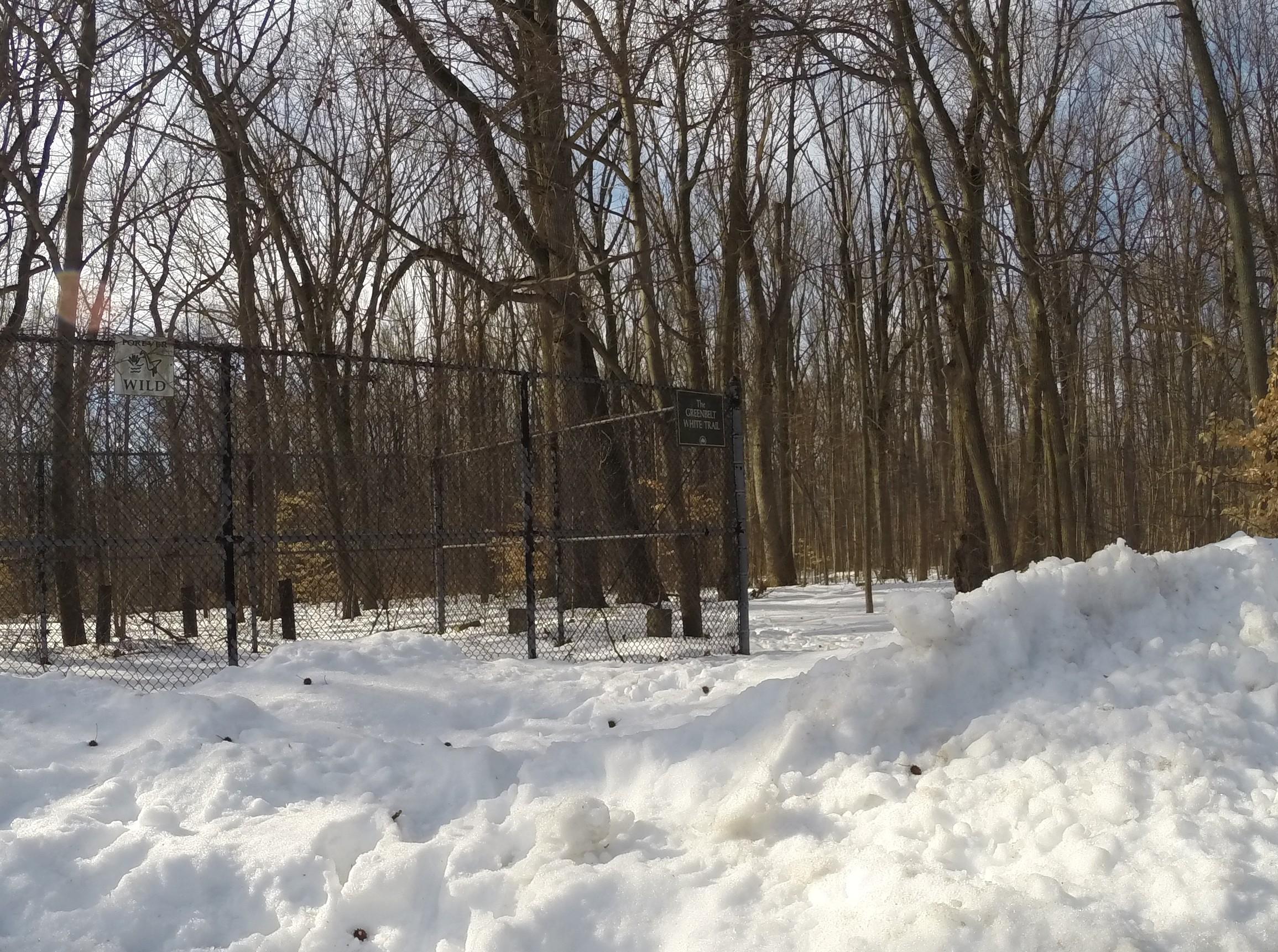 A snowy landscape in a wooded area featuring a chain-link fence. A sign on the fence reads "The Chestnut White Tail," indicating a trail or nature area. The ground is covered in fresh snow, with bare trees in the background against a cloudy sky. Richmond Avenue and Forest Hill road mountain bike trail.