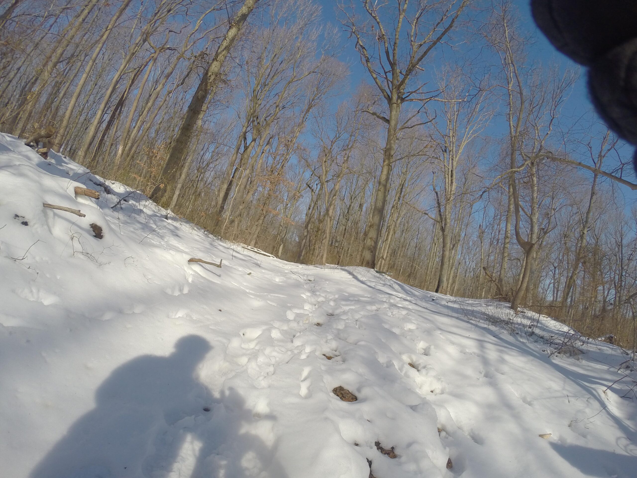 A snow-covered trail in a wooded area, with tall, bare trees and a clear blue sky. The image includes a shadow of a person in the foreground, and snow-covered footprints indicating recent movement along the path. Wolfes Pond park mountain bike trail.