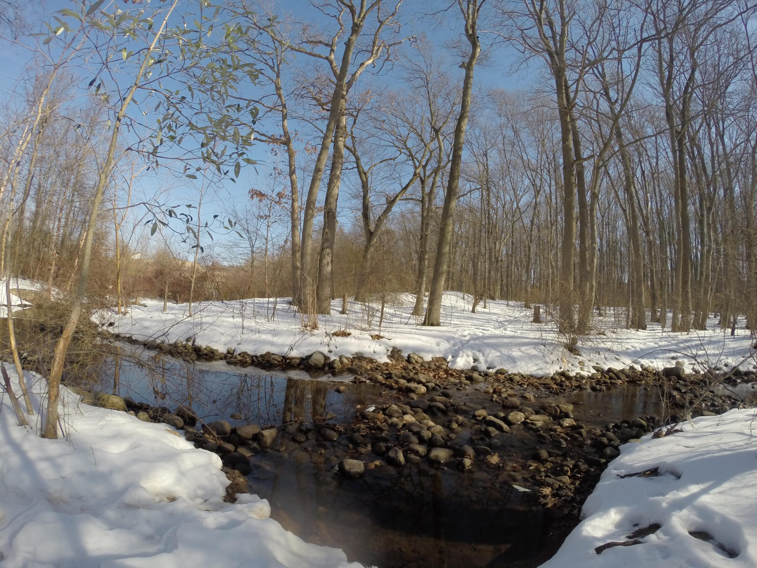 A serene winter landscape featuring a small stream bordered by rocky banks, surrounded by trees with bare branches. Snow covers the ground, while a clear blue sky overhead brightens the scene. Wolfes Pond park mountain bike trail.