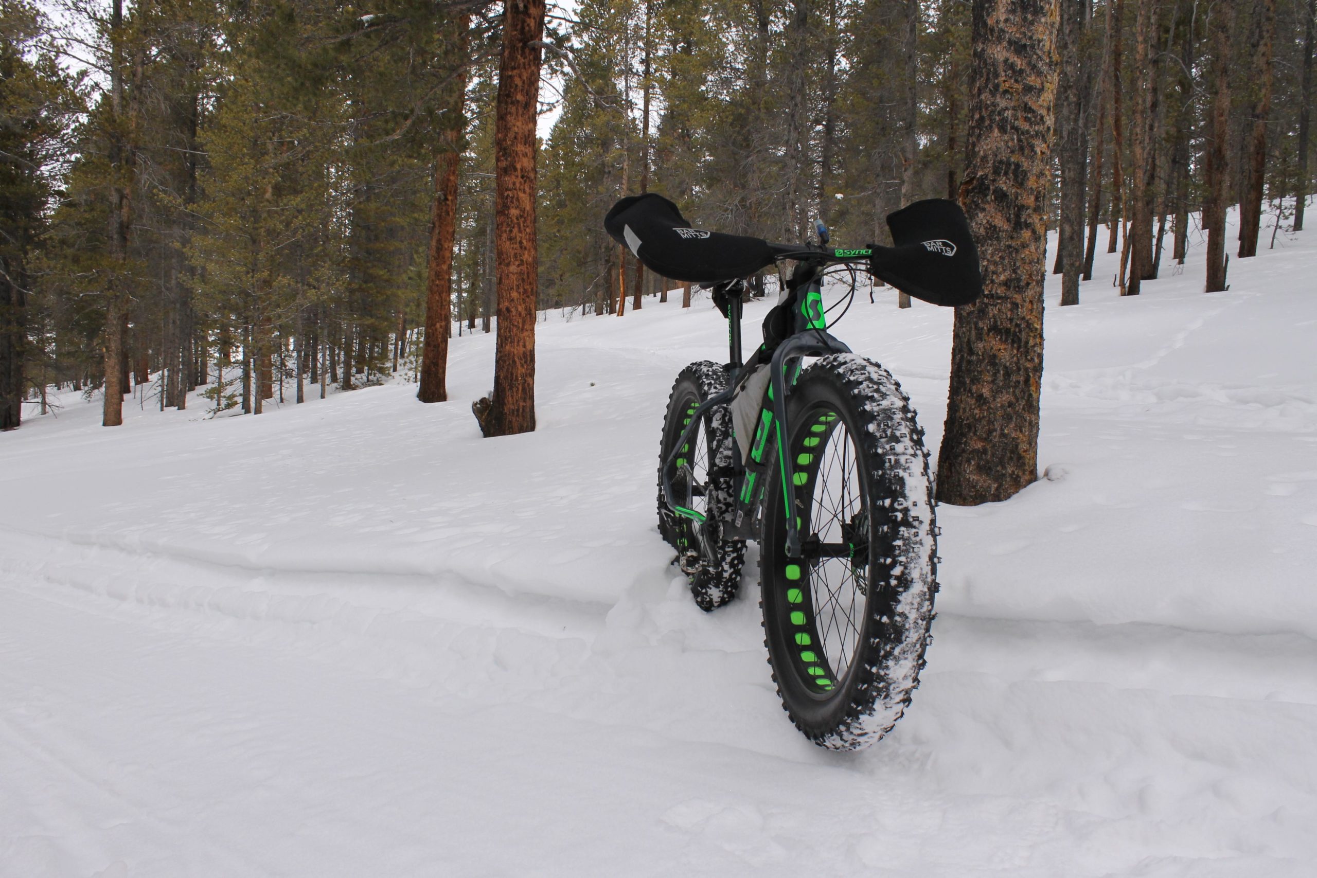 A fat bike parked in the snow-covered forest, surrounded by tall pine trees. The bike features wide, knobby tires that are well-suited for snowy terrain and has a sleek, modern design with green accents. Snow is visible on the ground, indicating a winter setting. Colorado Mountain College Trails mountain bike trail.