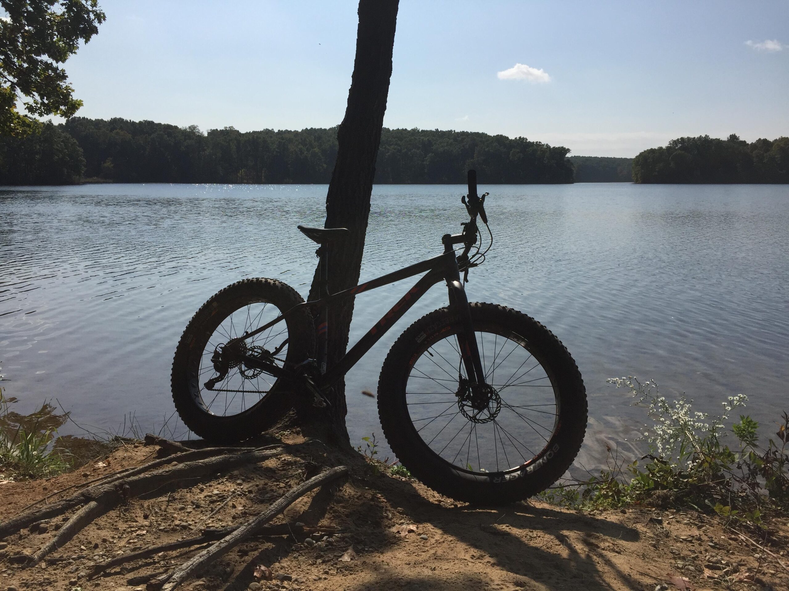 Trek farley 5: A fat tire bike leaning against a tree by the edge of a calm lake, with lush green trees in the background and a clear blue sky. Sunlight reflects off the water's surface, creating a serene outdoor scene.