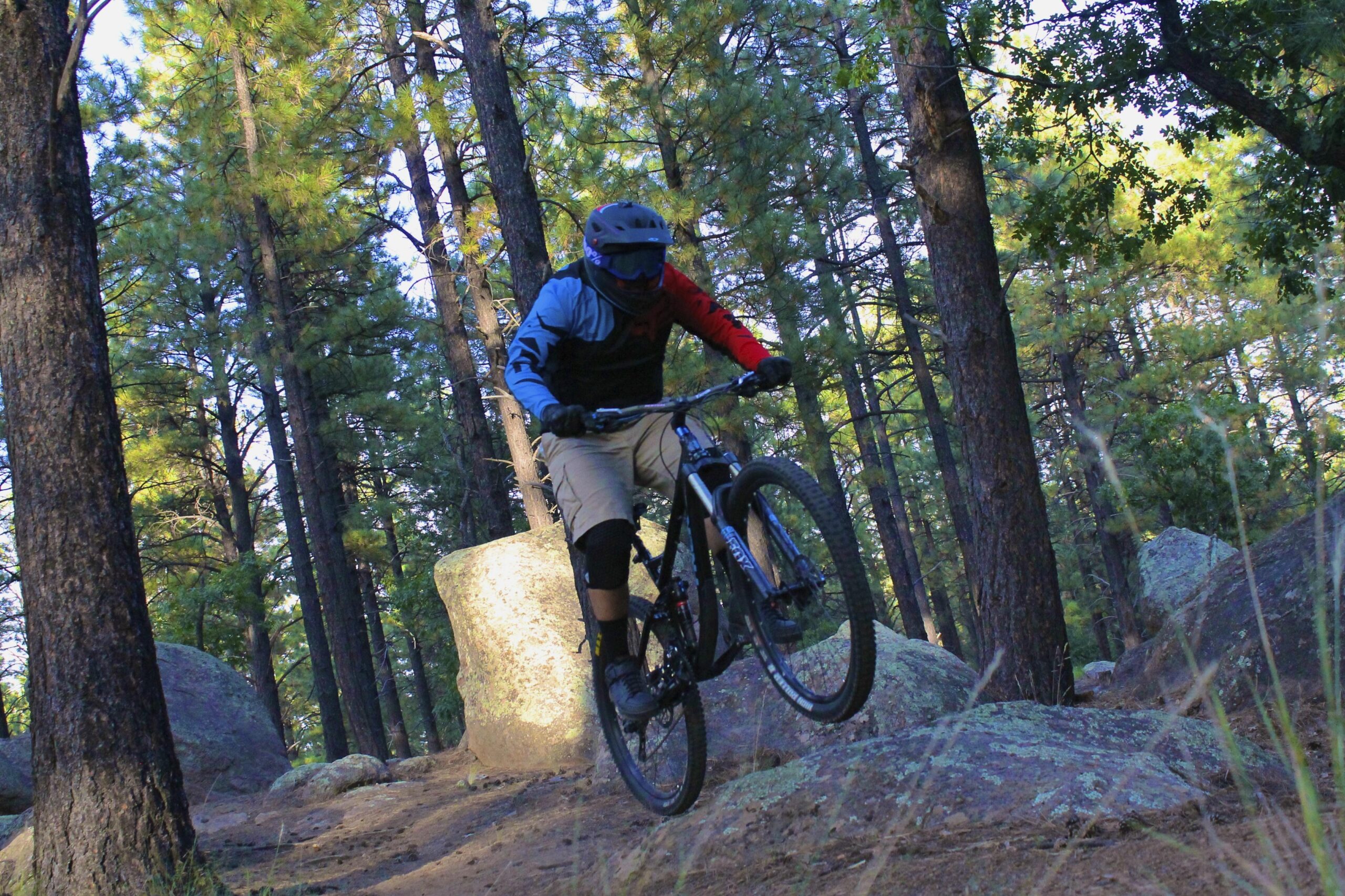 Trek Remedy 8 29: A mountain biker wearing a helmet and riding gear performs a jump on a rocky trail surrounded by tall pine trees. The rider is airborne over a large boulder, showcasing skill and agility while navigating through the forested area.