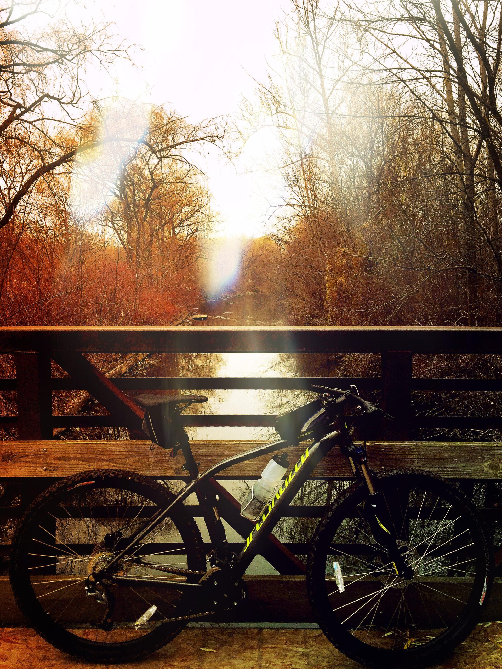 Specialized Rockhopper 29: A mountain bike rests on a wooden bridge overlooking a tranquil waterway, surrounded by trees with autumn foliage. The warm light creates a soft, dreamy atmosphere, highlighting the natural beauty of the scene.