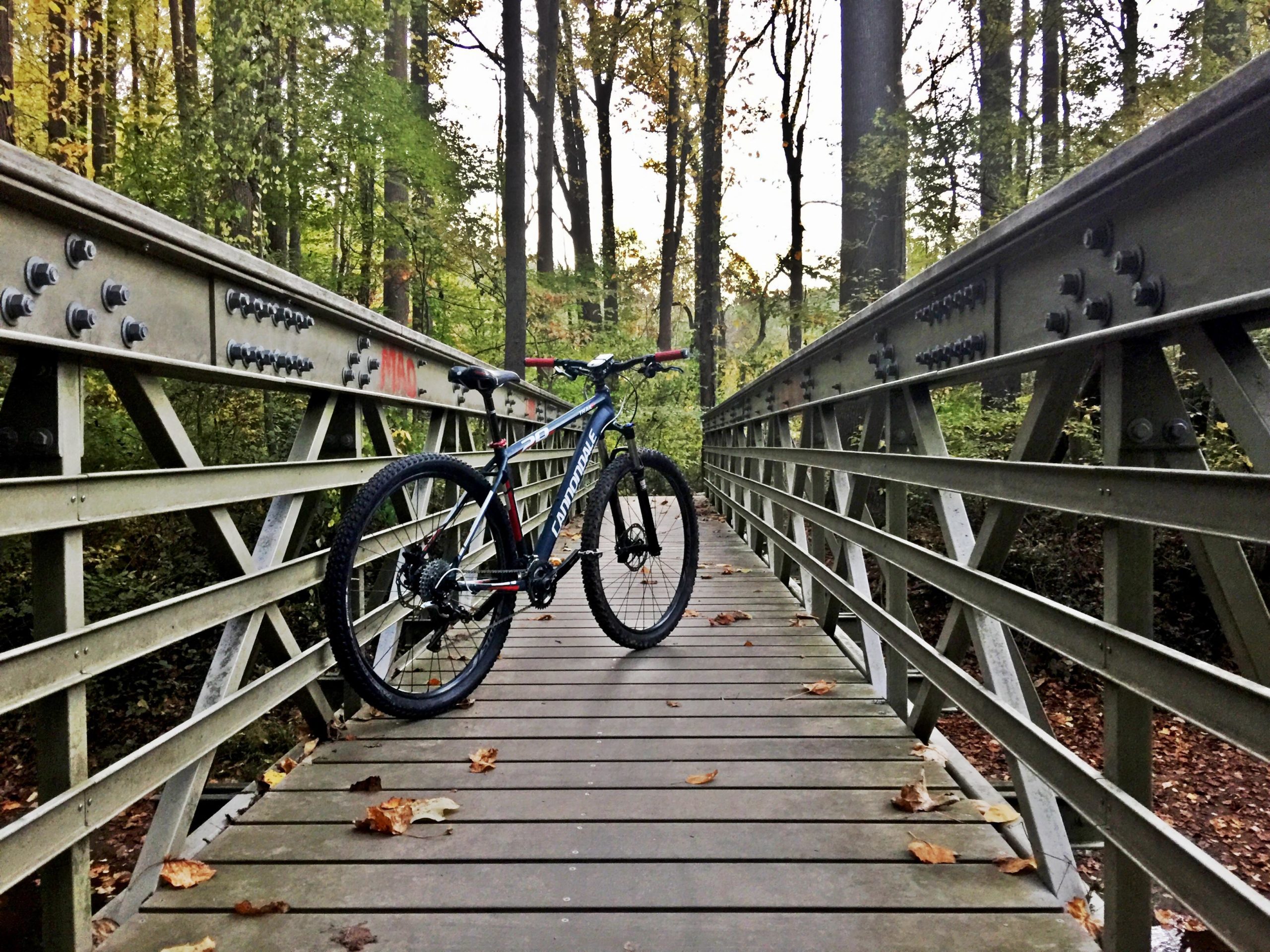 A mountain bike resting on a metal bridge, surrounded by lush green trees and fallen leaves, with a serene forest path in the background. Middle Run Natural Area mountain bike trail.