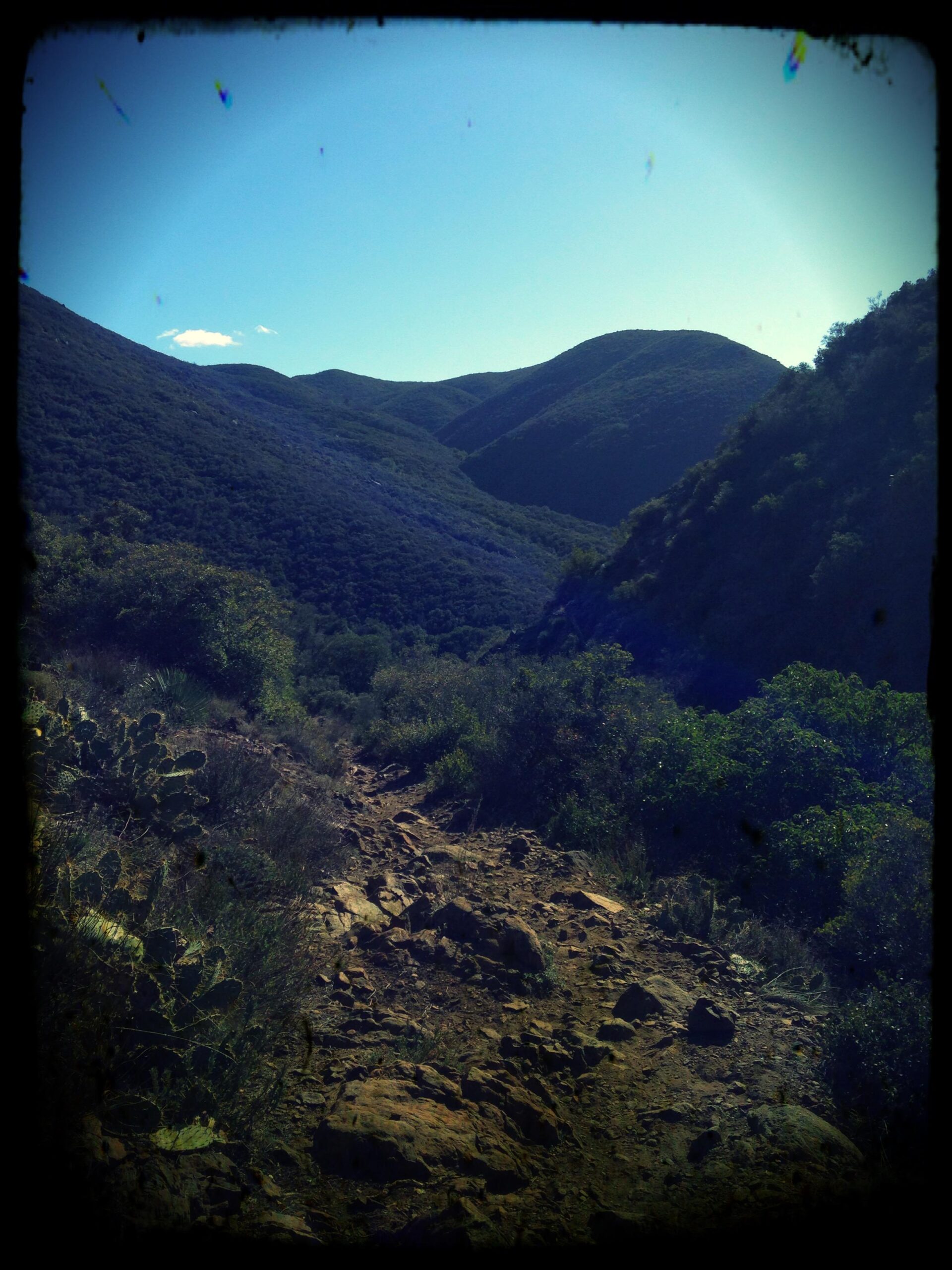 Mountain Biking Southern California's Noble Canyon Trail