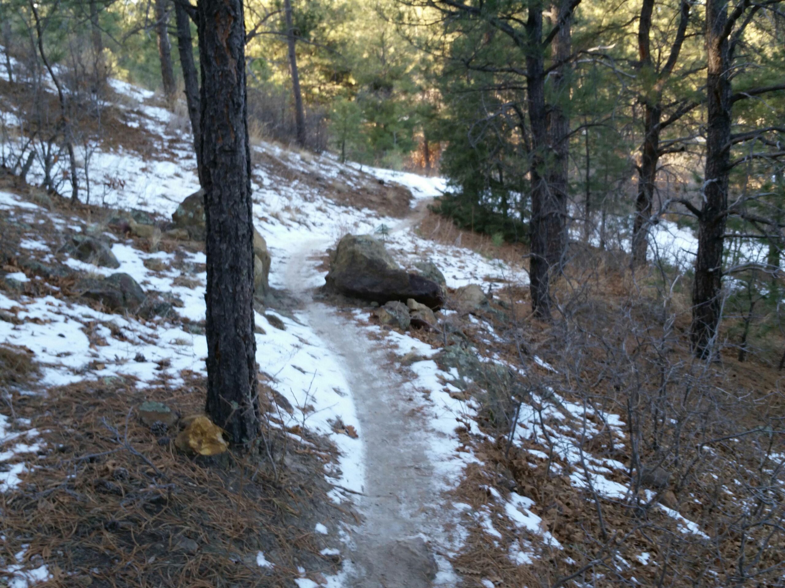 A winding dirt path through a forested area, partially covered in snow, with pine trees and scattered rocks along the sides. The scene captures a serene and natural landscape, suggesting a peaceful hiking trail. Ute Valley Park mountain bike trail.