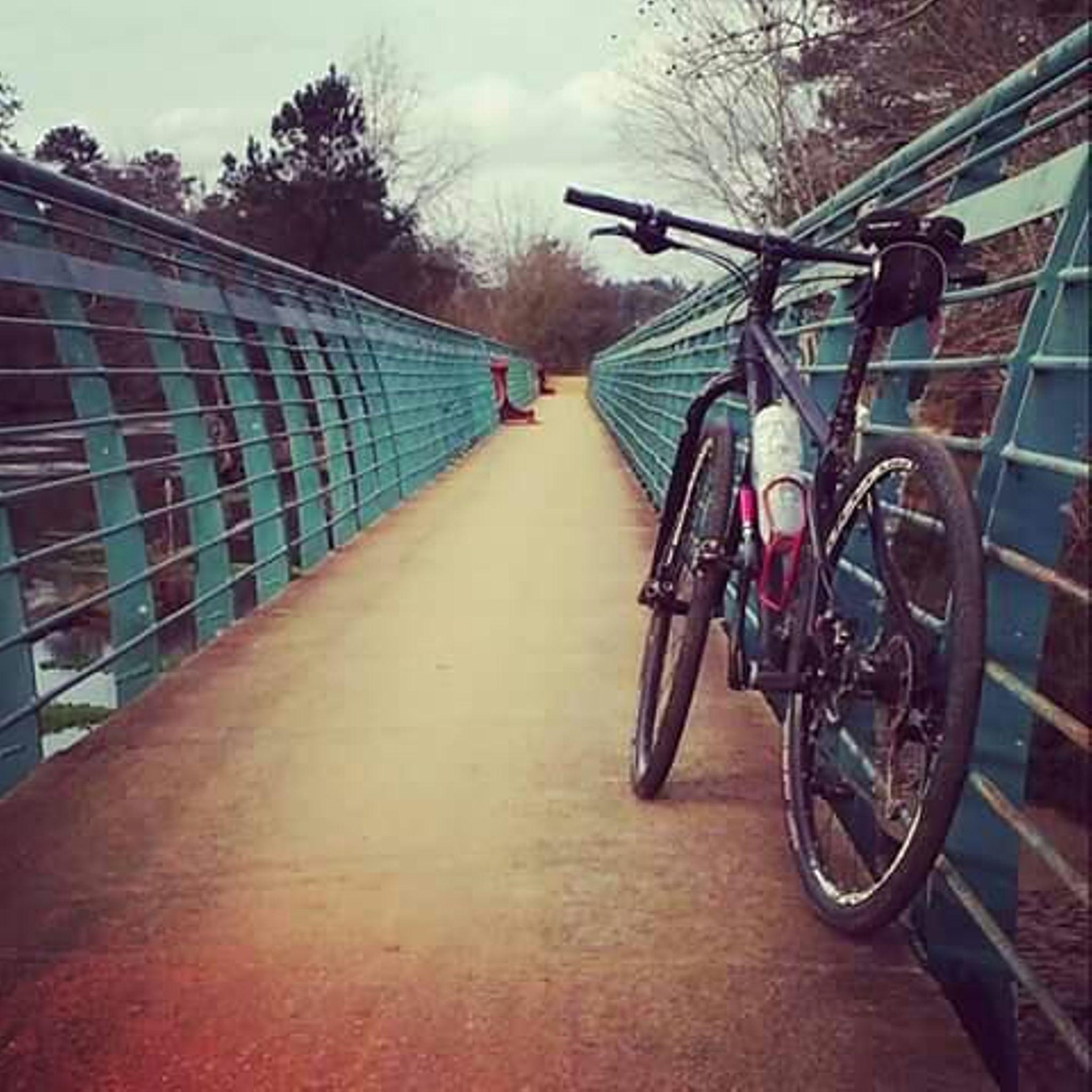 A mountain bike resting against the railing of a green pedestrian bridge, with a scenic view of trees in the background on a cloudy day. The bridge has a smooth pathway and is surrounded by nature. Augusta Canal mountain bike trail.