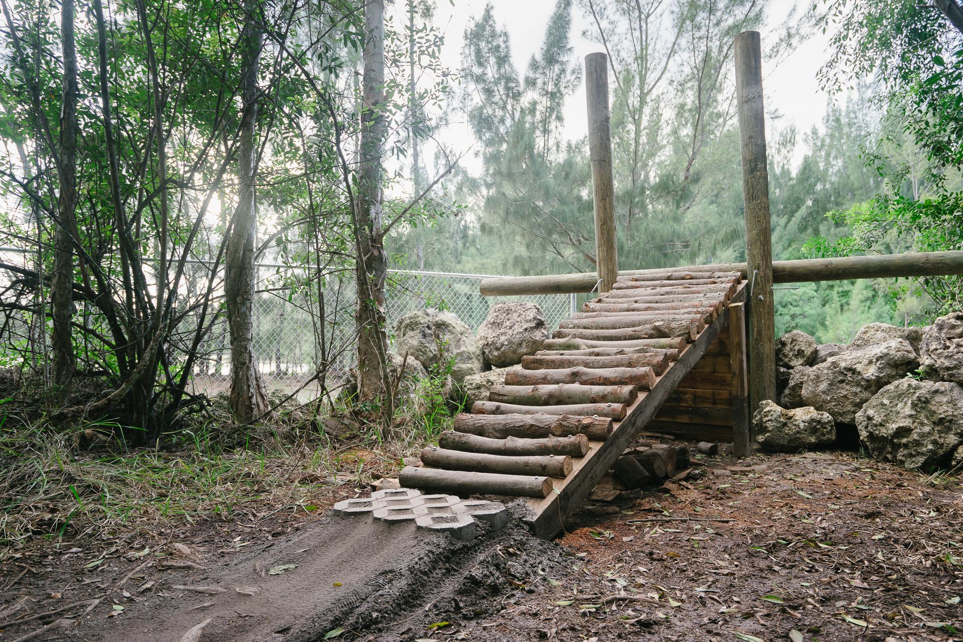 A wooden ramp made of logs leads up from a dirt path in a forested area, surrounded by trees and underbrush. In the background, a chain-link fence is partially visible, and large rocks are placed nearby. The scene is natural and serene, with dappled sunlight filtering through the trees. Markham Park mountain bike trail.