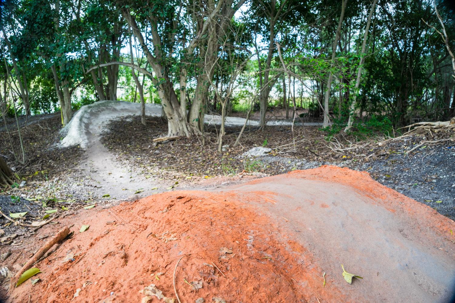 A dirt bike trail in a wooded area featuring a prominent reddish dirt jump in the foreground, with a winding dirt path leading into the trees in the background. The scene is surrounded by lush green foliage and scattered leaves on the ground. Markham Park mountain bike trail.