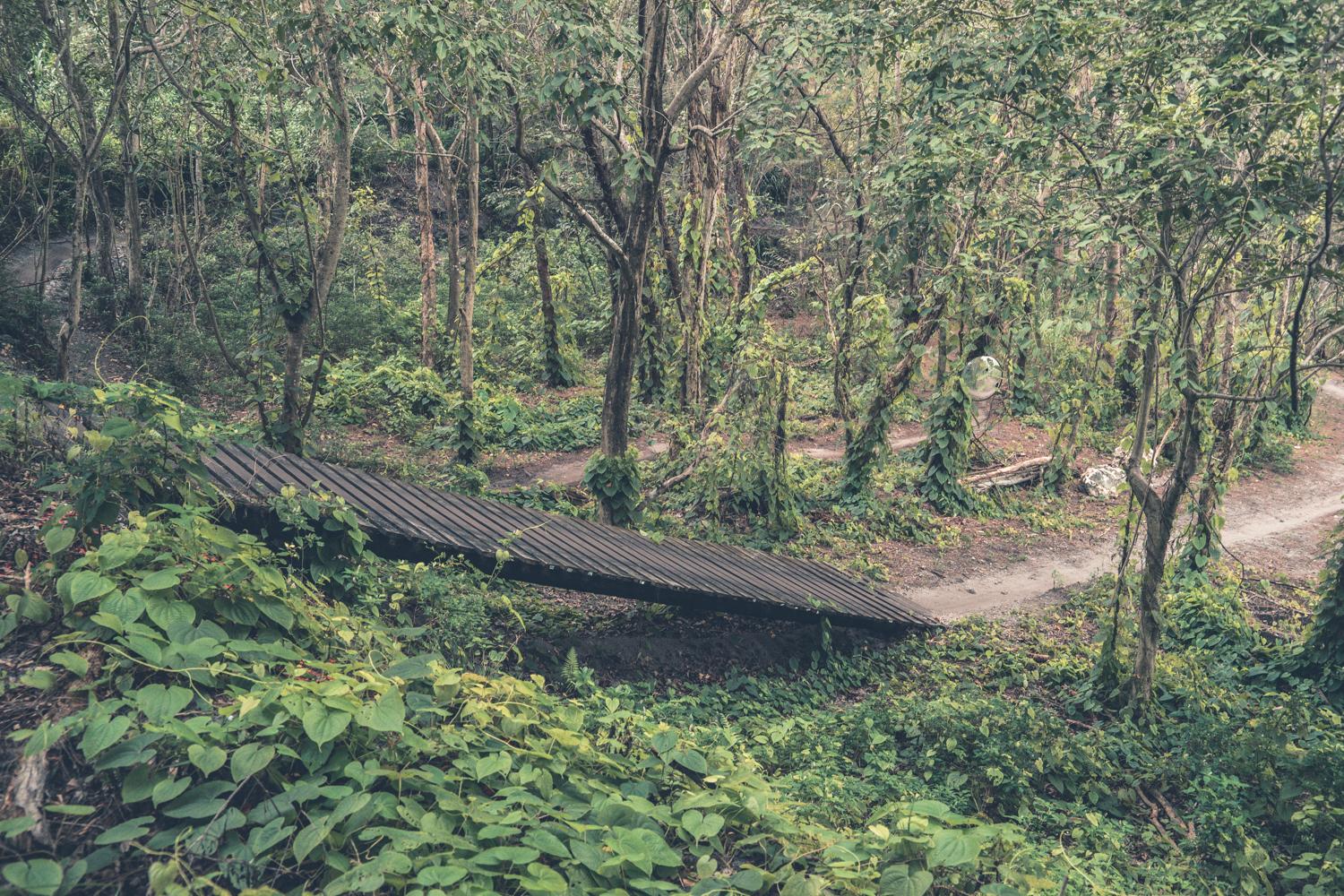 A wooden pathway winding through a lush, green forest filled with trees and dense vegetation, with a dirt trail visible in the background. Markham Park mountain bike trail.