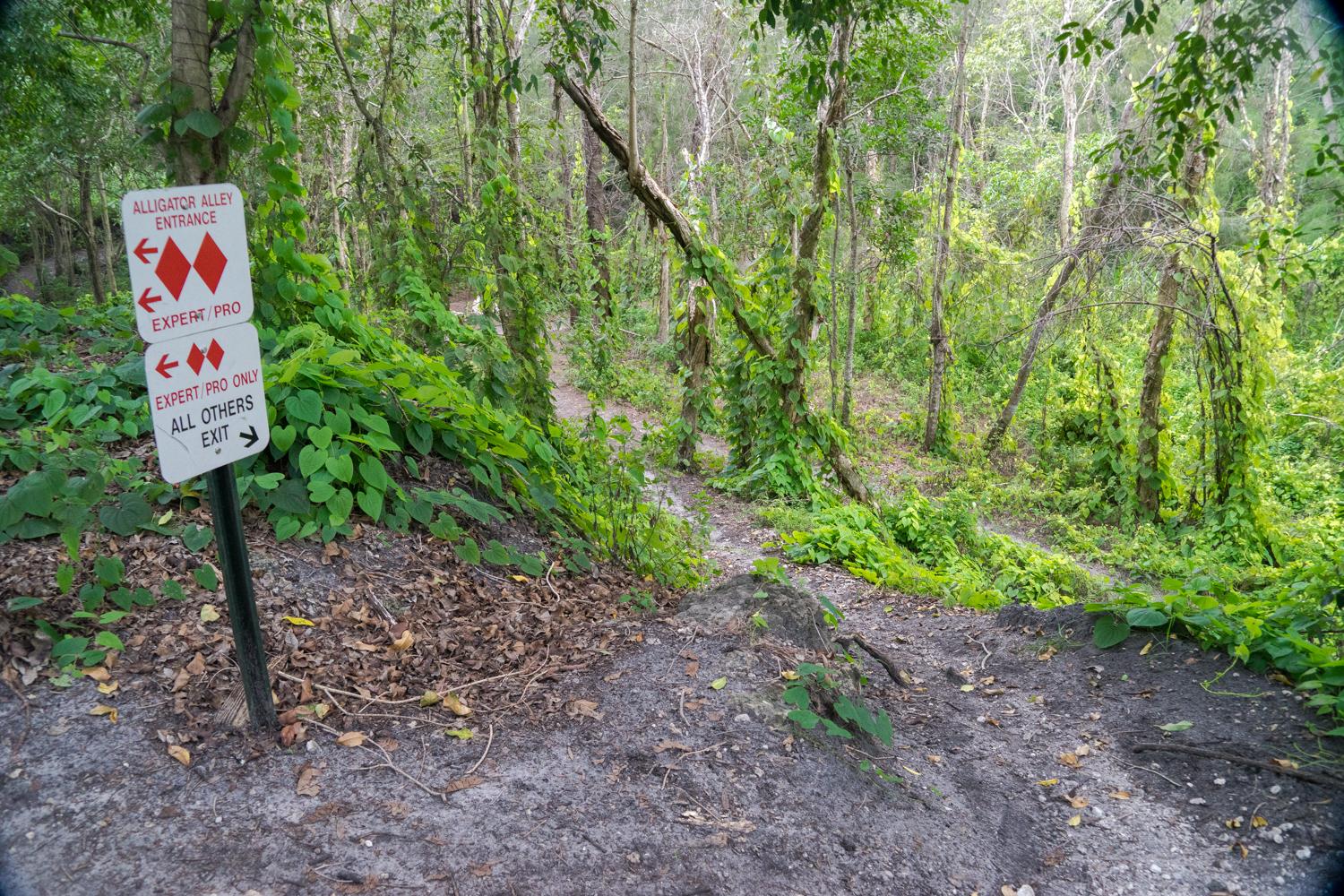 A sign in a wooded area indicating trail directions, with arrows pointing left and right for "Alligator Alley Entrance," labeled for "Expert/Pro" and "All Others Exit." The background features dense greenery and trees, creating a natural and shaded trail environment. Markham Park mountain bike trail.