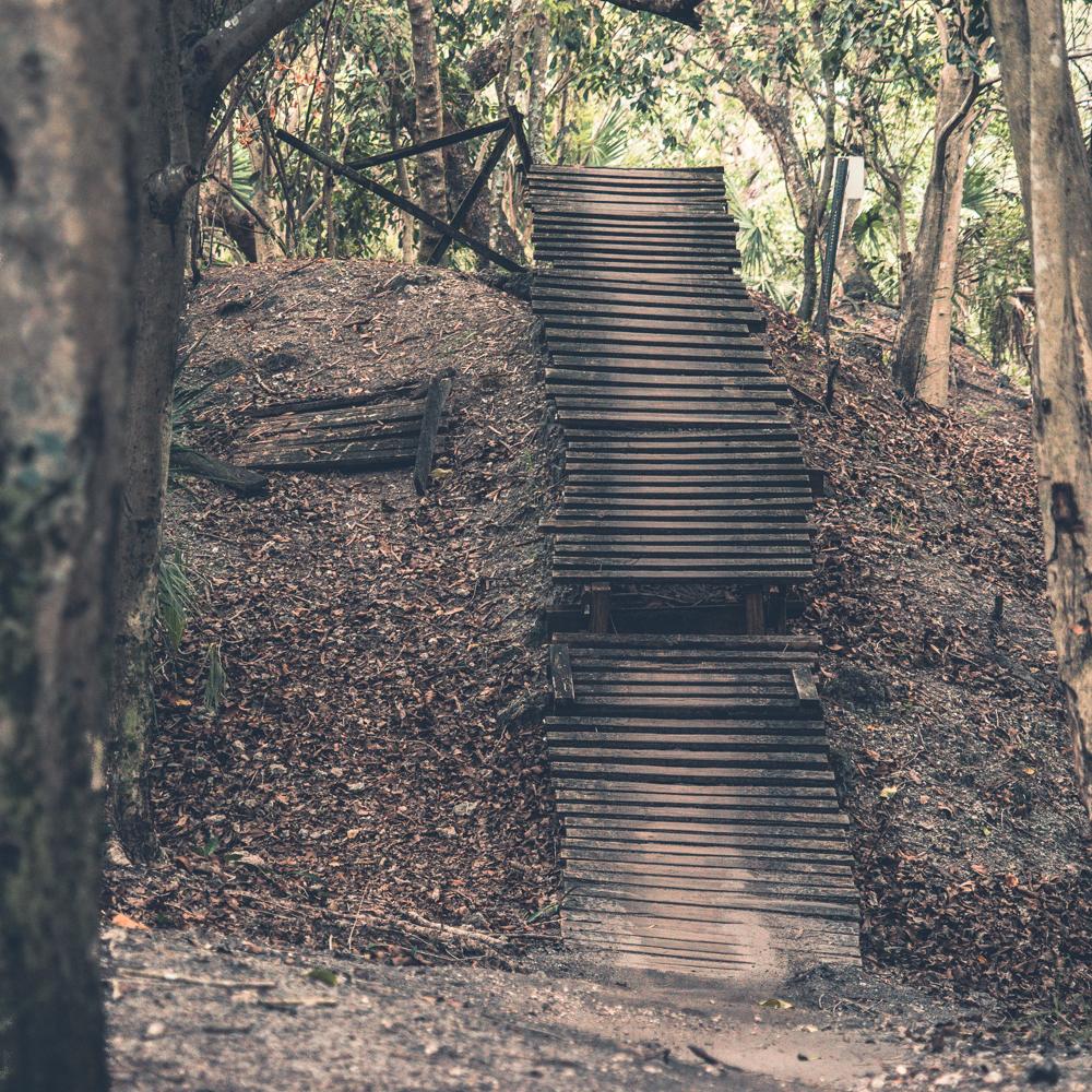 A wooden staircase leading up a sloped area, surrounded by trees and fallen leaves. The path is natural and slightly worn, with scattered debris on either side. The scene is tranquil and evokes a sense of a forested hiking trail. Markham Park mountain bike trail.