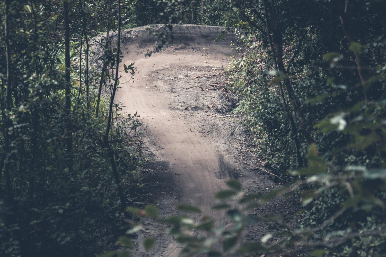 A winding dirt path surrounded by lush greenery and trees, creating an inviting yet secluded trail in a forested area. Markham Park mountain bike trail.