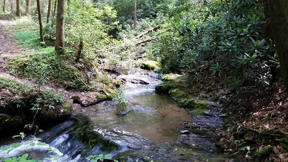 A peaceful forest scene featuring a gently flowing creek surrounded by lush greenery and trees. The creek reflects sunlight, with smooth stones and moss visible along its banks. A walking path curves alongside the water, inviting exploration in the serene natural setting. Pinhoti Trail: Mountaintown Creek Segment mountain bike trail.