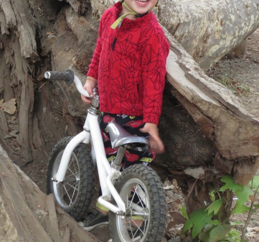 A young child wearing a bright yellow helmet and a red jacket smiles widely while standing on a small white bike. The bike is positioned on a tree stump, surrounded by natural scenery, including brown tree bark and green leaves. The child's playful expression conveys joy and excitement.